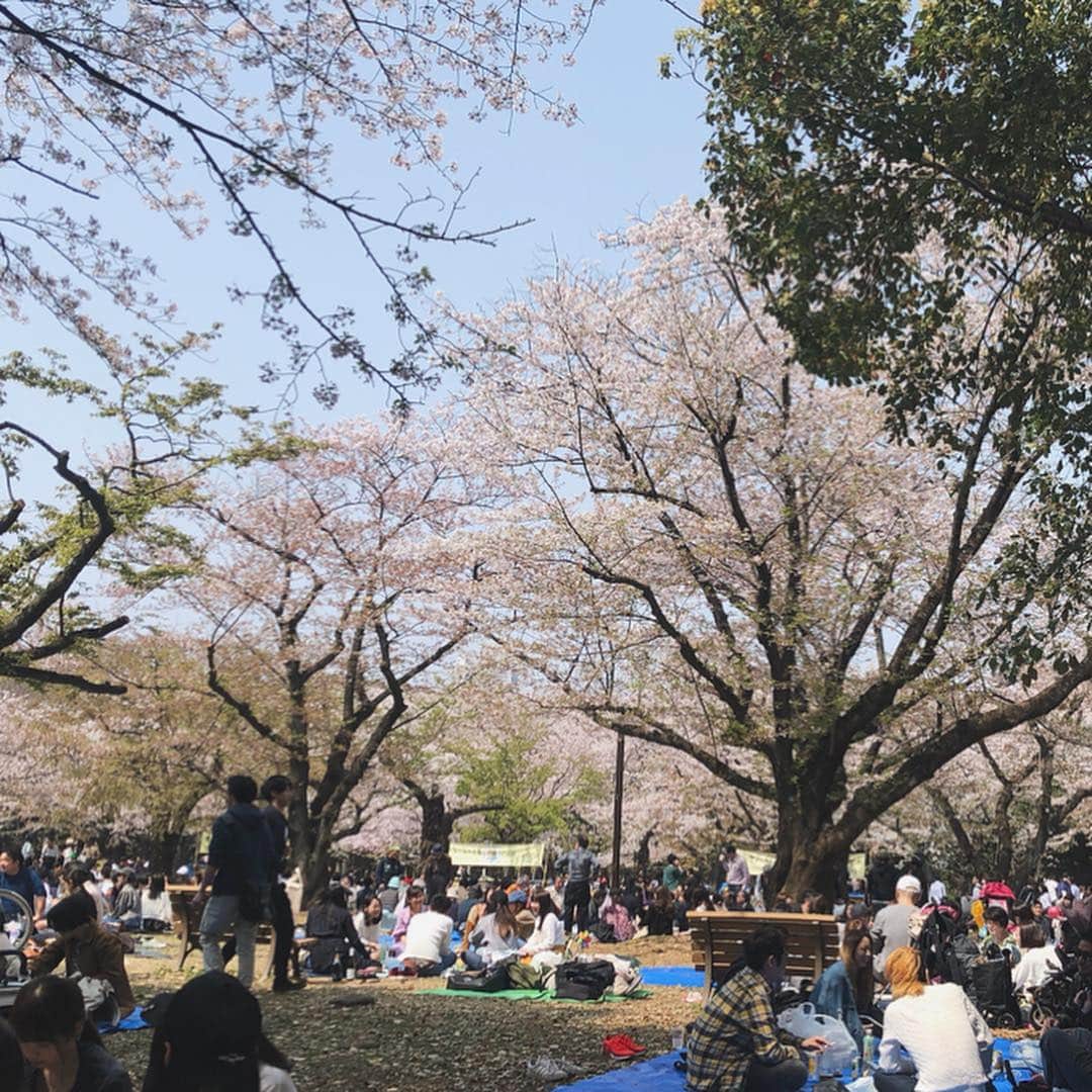 酒匂彩名さんのインスタグラム写真 - (酒匂彩名Instagram)「: 色々事件はあったけど🦅🥫 この間のお休みは、みんなでお花見できて楽しかった🌸 代々木公園は人が大変でした😂 明日の雨で東京の桜は散っちゃいそうだなぁ…。 来年も是非やりたい👶✨ : #平成最後のお花見 #お花見 #桜 #春爛漫 #アラサーお花見 #気温も最高 #代々木公園 #春 #花吹雪 #桜吹雪 #綺麗だったなぁ #sakura #swag #japan #argirl」4月9日 20時23分 - ayanasakoh