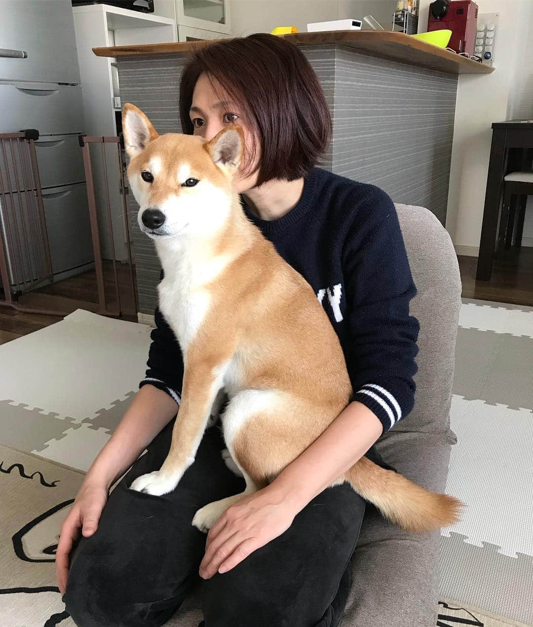 高橋みゆきのインスタグラム：「クラ吉🐶💓 #クラ吉 #めんこい #心ノ祐から逃げてきた #テレビ見てるのに」