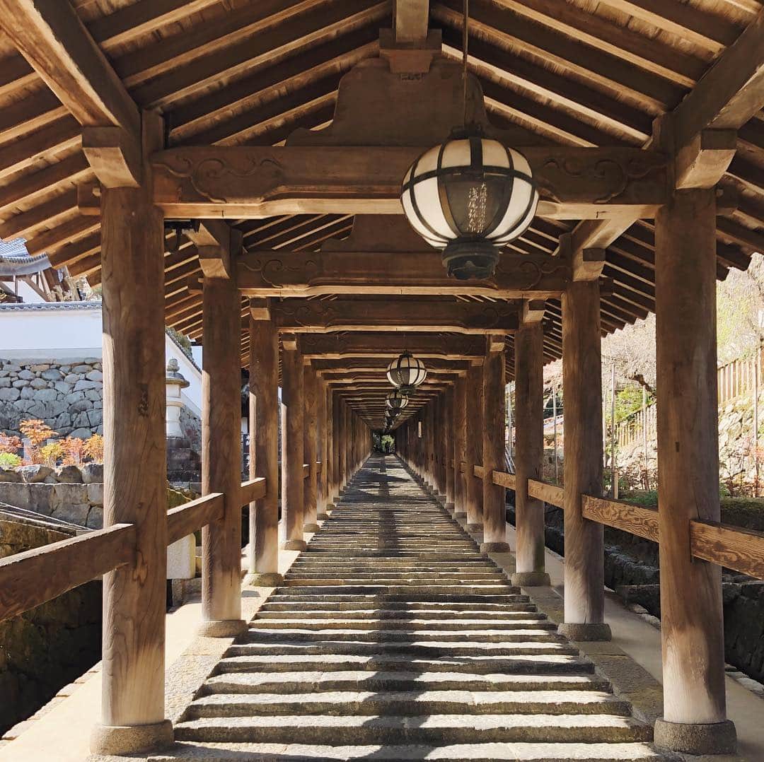 陣内勇人さんのインスタグラム写真 - (陣内勇人Instagram)「. 行き先は 奈良の人へ聞け。 という訳で 急遽 行き先変更 長谷寺へ。 . 本堂まで399段。 (明日 筋肉痛お待ちしております。 . お陰で 桜も木蓮も 美しい姿を魅せてくれた。 . #奈良 #nara #長谷寺 #登廊」4月9日 20時36分 - hayato.jinnouchi