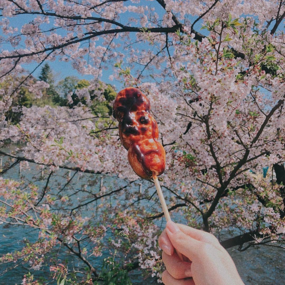 キム・ナヒさんのインスタグラム写真 - (キム・ナヒInstagram)「하나만 먹어도 배부르던 당고😂 #nahee_travel」4月9日 20時50分 - knhs2