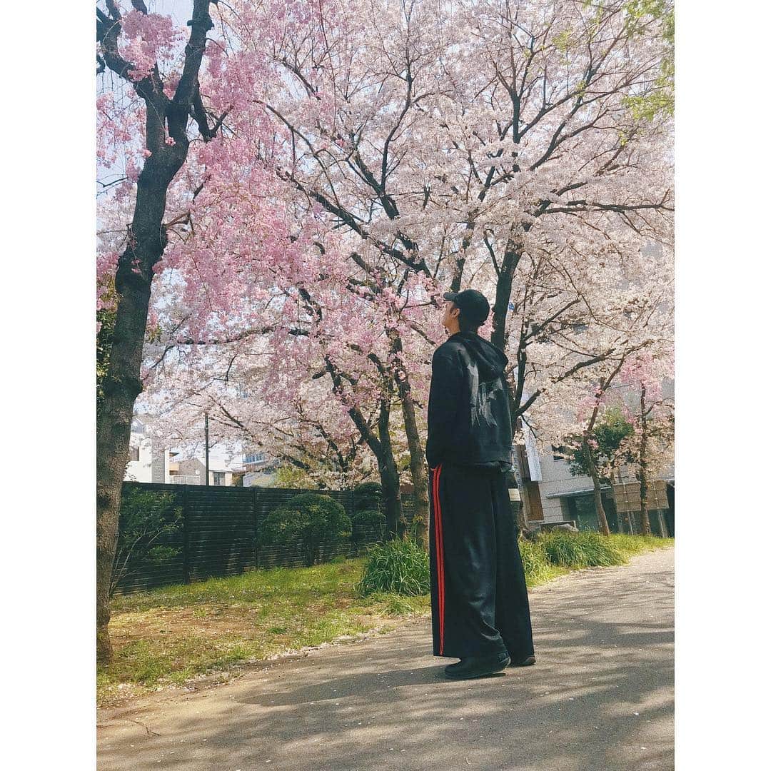 塩野瑛久さんのインスタグラム写真 - (塩野瑛久Instagram)「. すぐ散ってしまうよね。 俺は散らんよ。 でも好きだよ。 桜。  #塩野瑛久 #桜 #sakura」4月9日 20時51分 - akihisa_shiono_official