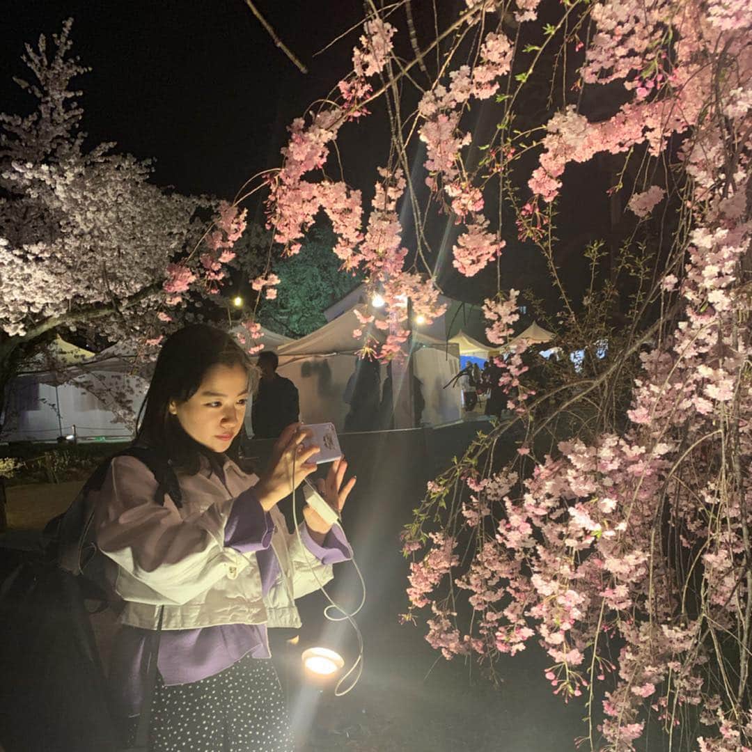 中嶋桃花さんのインスタグラム写真 - (中嶋桃花Instagram)「二条城のライトアップ見てきたよ🌸  やっと春感じられた❤︎ やっぱ桜は綺麗だったなぁ  一番大好きなのは枝垂れ桜♥️」4月9日 20時55分 - momoka_nakajima