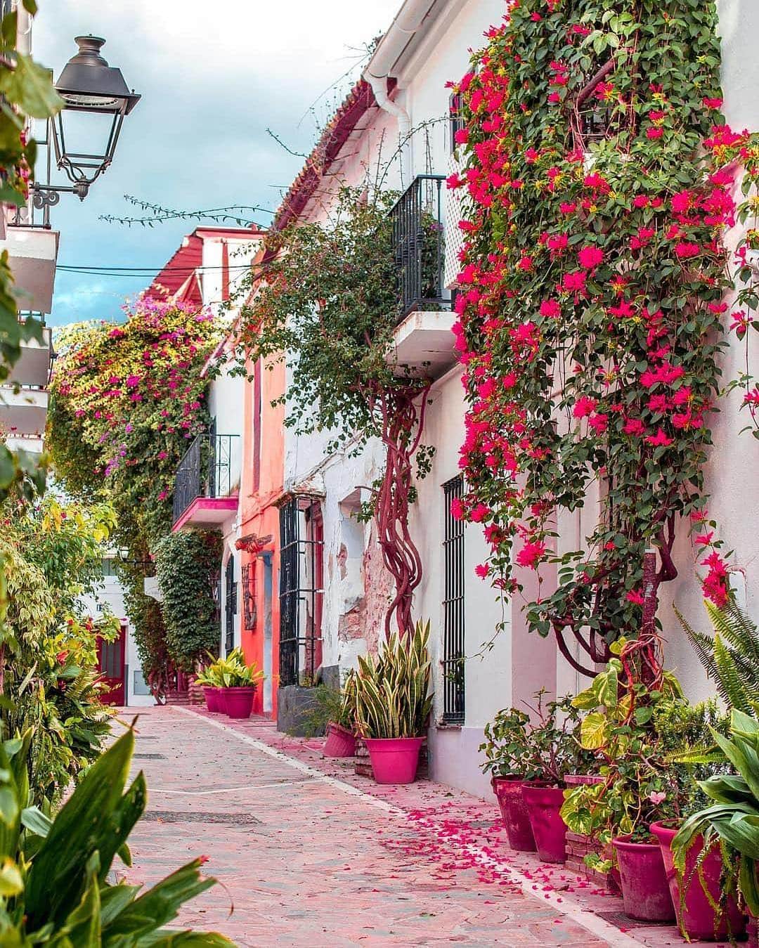 BEAUTIFUL DESTINATIONSさんのインスタグラム写真 - (BEAUTIFUL DESTINATIONSInstagram)「Take a moment to stop and smell the flowers 🌸 We love the colorful streets of Marbella, don't you? (📷:@delafuentecam 📍: Marbella, Spain)」4月9日 21時04分 - beautifuldestinations