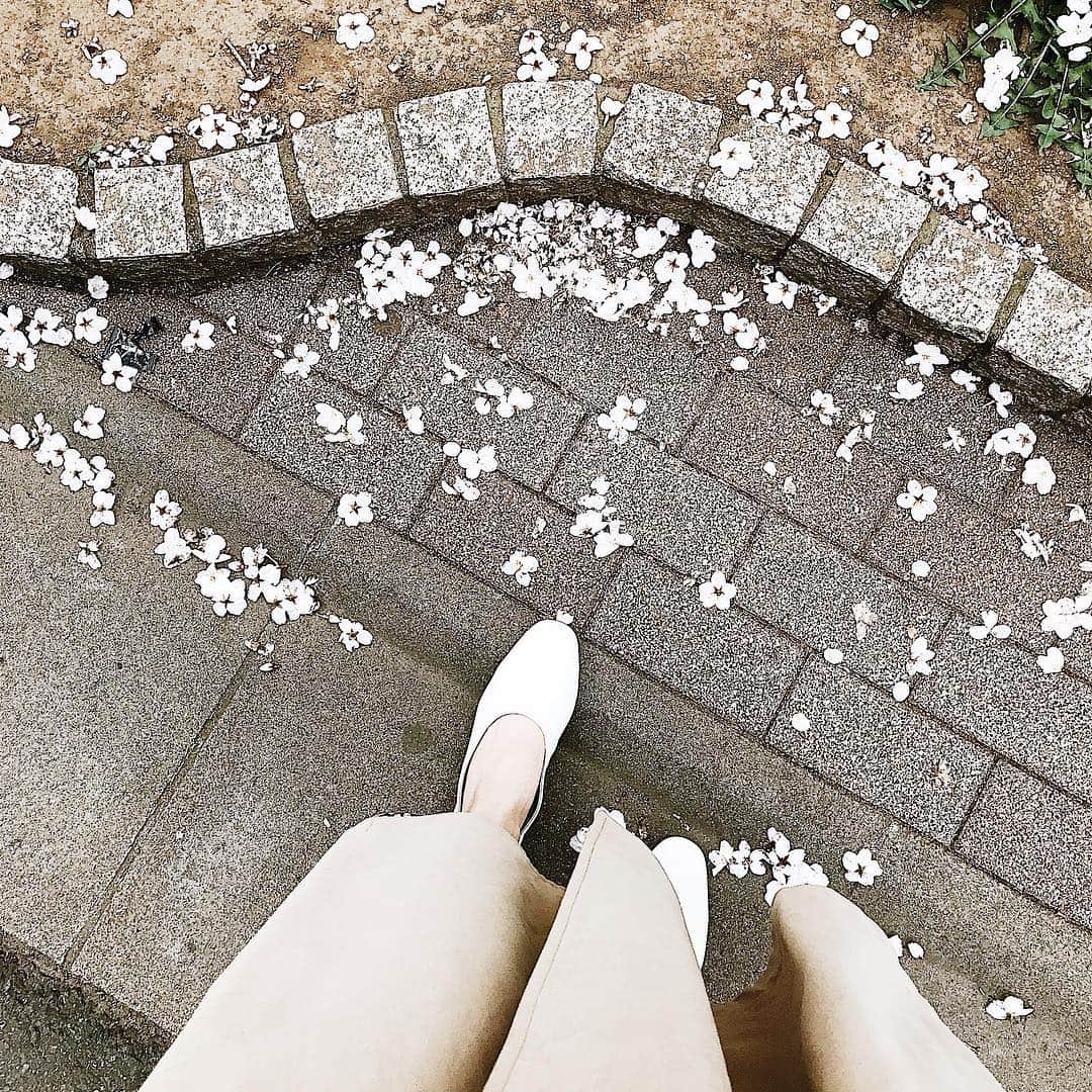 AYUMI SEKO 瀬古あゆみさんのインスタグラム写真 - (AYUMI SEKO 瀬古あゆみInstagram)「내년에 또 보자구 🌸🌸🌸 ・ #🌸 #桜 #cherryblossom #springmood #springmood🌸 #벛꽃 #벛꽃놀이」4月9日 21時14分 - ayumikaaan