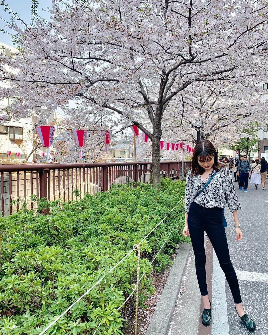 岡山瑠沙さんのインスタグラム写真 - (岡山瑠沙Instagram)「目黒川で初お花見🌸 あったかいし、満開だし、 最高だった🥰 ・ #お花見 #満開 #中目黒 #目黒川 #東京 #tokyo #春 #spring #ootd #ootdfashion #fashion #outfit #codenate #belshka #シャツコーデ #パイソン柄 #photography #japan #instagood #instalike #instagram #followforfollowback #follow4followback #likeforlikes #like4likes #followmeto #撮影依頼募集中」4月9日 21時06分 - rusa_okayama