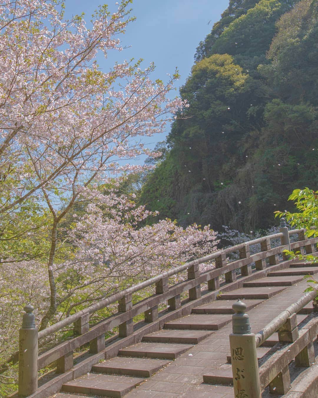 鹿児島よかもん再発見さんのインスタグラム写真 - (鹿児島よかもん再発見Instagram)「南九州市川辺町の岩屋公園(^-^)/ 石橋と桜。見所の多い岩屋公園ですが、個人的にこの橋の周辺が一番好きです。H31/4/8撮影 ※お知らせ プロフィールからリンクしているkagoshimaviewにて、不定期でインスタ映えのブログをアップしてます(^-^)/ #鹿児島 #鹿児島観光 #南九州市 #川辺町 #岩屋公園 #石橋 #桜 #橋と桜 #日本 #japan #春 #鹿児島の桜  #鹿児島の風景」4月9日 21時07分 - kagoshimayokamon