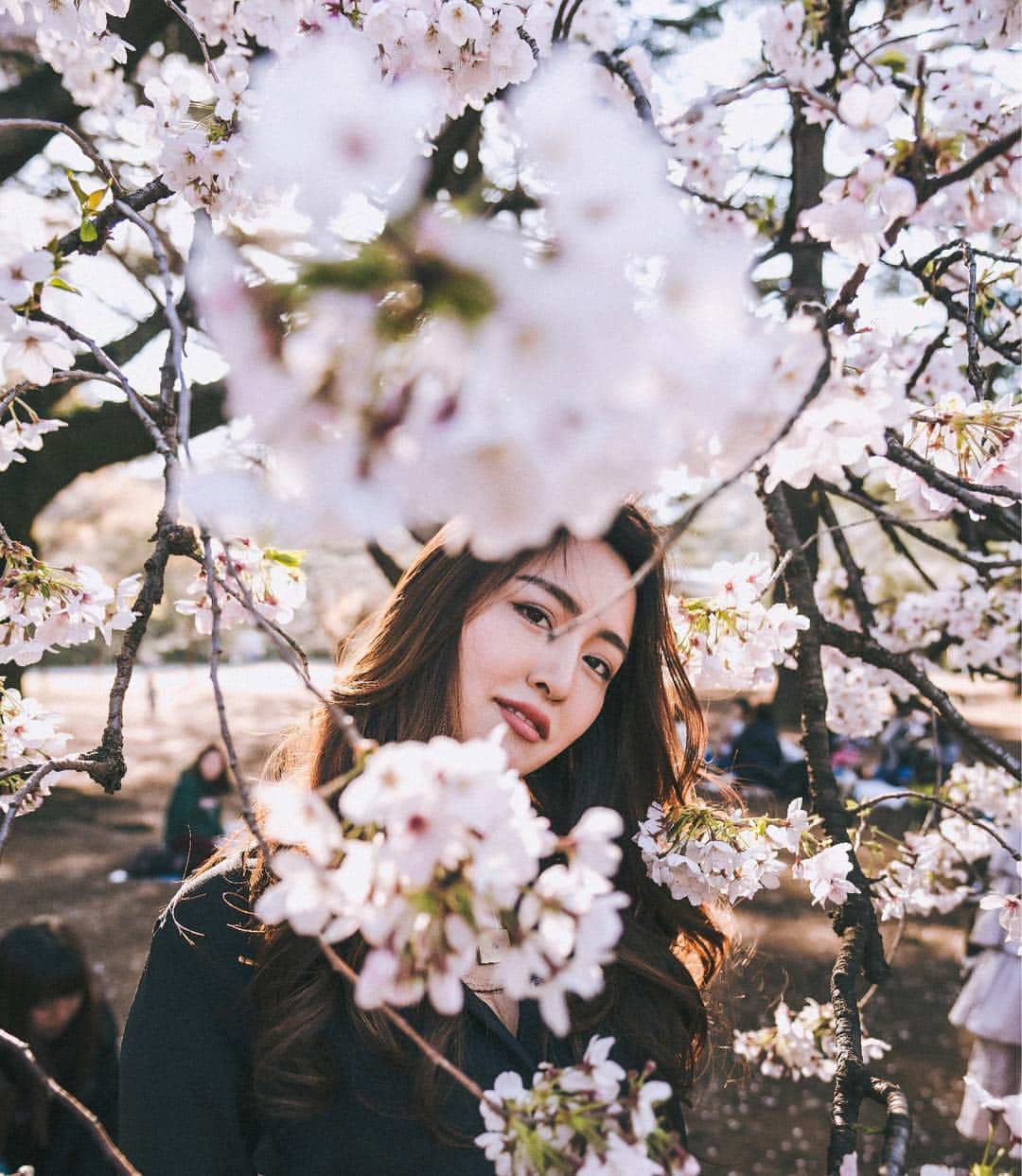 小柴綾香さんのインスタグラム写真 - (小柴綾香Instagram)「It's cherryblossom season all over Japan right now, how breathtaking 🔥 #cherryblossom #sakura #cherryblossomseason #sakuraseason #pink #spring #tokyo #japan #桜」4月9日 21時11分 - ayakakoshiba