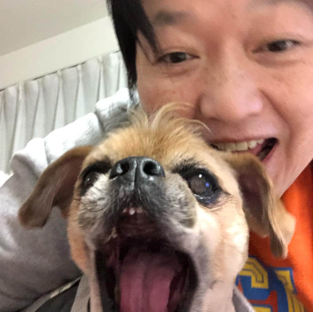 長与千種さんのインスタグラム写真 - (長与千種Instagram)「なんだろう  心底の癒しをくれる🐕  髪の毛も 身体も スッキリ☆*:.｡. o(≧▽≦)o .｡.:*☆ シャンプーカット  決まってるね👍  ずっと 元気で居ますように  #パパぼっち  #久しぶりの  #シャンプーカット  #強い子  #jasmine循環器センター  #心臓弁閉鎖不全症  #ブリュセルグリフォン  #marveldogs」4月9日 21時11分 - chigusanagayo