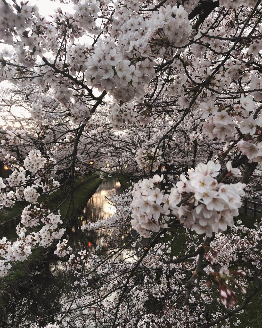 小柴綾香のインスタグラム