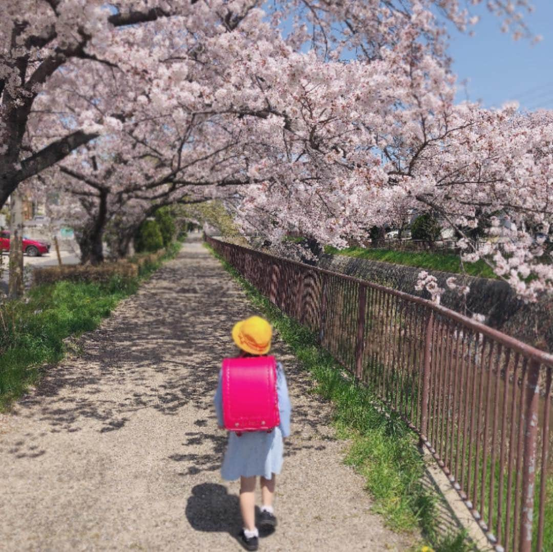 佐野俊輔さんのインスタグラム写真 - (佐野俊輔Instagram)「無事に一年生になりました。 私の1番目の娘として立派に成長している。 母…お友達…僕の仲間たち…そして、キッズのみんなに育ててもらって…父は涙が出るよ。 僕の子になってくれてありがとう！！ 俺は君が可愛くて可愛くてたまらない！！ 学校生活でたくさん笑ってたくさん走り回って、沢山悩んでください。 人が困っていたら助けてあげて、自分が困ったら誰かに助けてもらえるようになってください。  俺は君が可愛くて可愛くてたまらない！！！ 何かあれば全力で守りに行きます！！ 全力で人の為に動ける人になってください！！ 俺は君が可愛くて可愛くてたまらない！！ だから…  彼氏が出来たら、まずはお友達やキッズの子に 「この彼なら父に許しを得れるか」を  相談してください。  最愛なる娘へ  2019/04/09  #入学式 #生徒が多い #ピカピカ #友達100人できるかな #少なくてもいいよ #大切なお友達  #夢莉 #ゆめり #舞莉 #ひらり #未來 #みらい #夢舞う未來 #6歳 #4歳 #1歳 #三人兄弟 #子ども #ベイビー #こどものいる暮らし #親6年目 #ビール好き  #レジエボ #regievo」4月9日 21時20分 - shunsuke_sano_