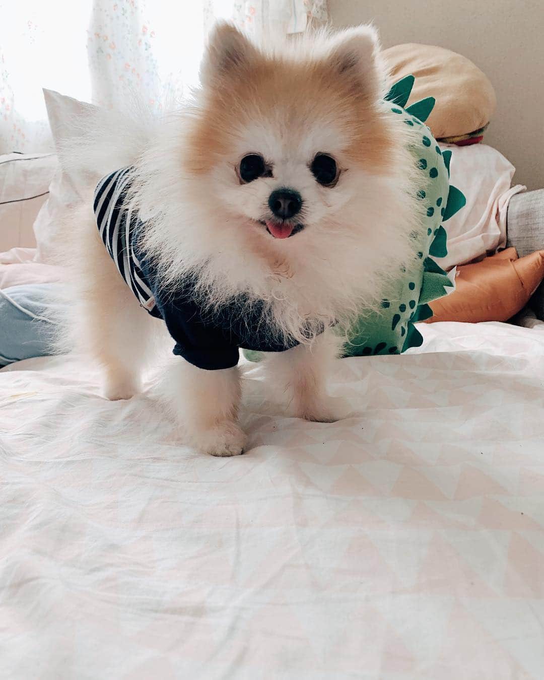 r_oseのインスタグラム：「Sweetie 🐰〰️」