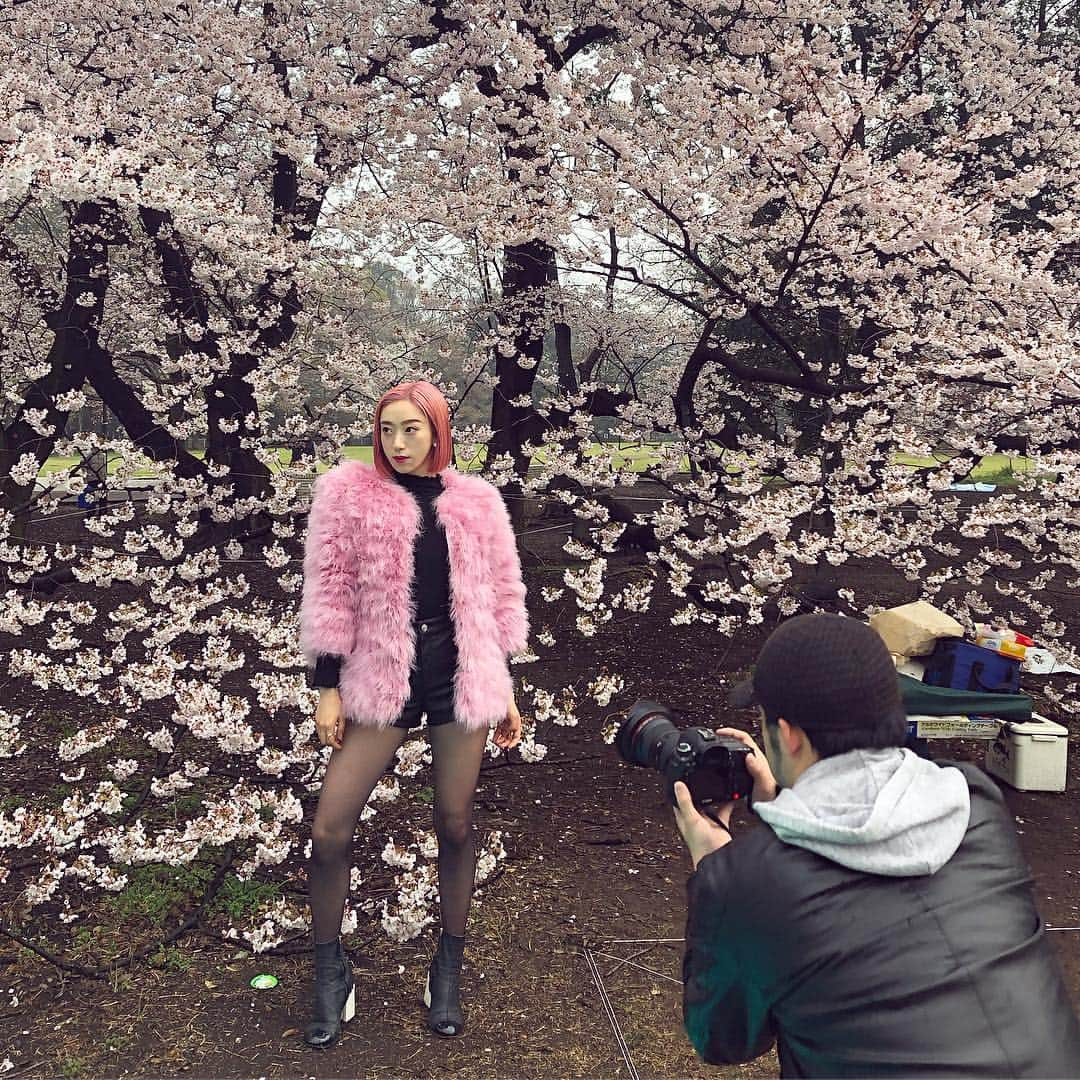 Ruuさんのインスタグラム写真 - (RuuInstagram)「🌸🌸🌸🌸🌸 東京の桜が終わった頃に福島は満開🌸 びびちゃんとお花見行きたいなぁ〜🐕💕💕」4月9日 21時30分 - ruufabulous