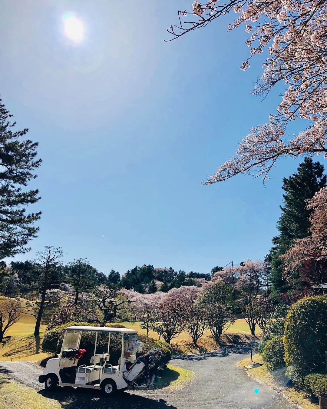 箕輪玖美さんのインスタグラム写真 - (箕輪玖美Instagram)「桜見納めゴルフ〜🌸🌸🌸 お天気最高✨ 桜も最高✨ 同伴メンバーも最高✨ スコアは…😅 今日も楽しい一日でした❤️ #ゴルフ大好き #ゴルフ女子 #ゴルフ好きと繋がりたい  #桜ヶ丘カントリークラブ  #ゴルフコーデ #マークアンドロナ  #ピンクコーデ #お花見 #桜満開 #楽しい #アラフィフモデル箕輪玖美  #モデル #happy  #golf #Tokyo」4月9日 21時30分 - kumi.111