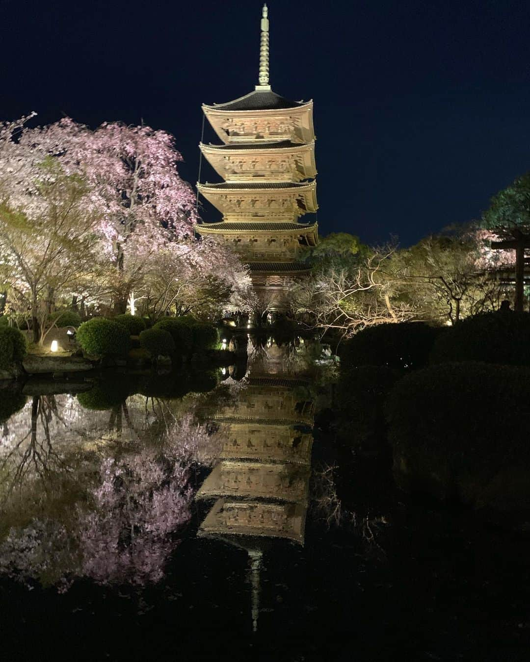 浅田真央さんのインスタグラム写真 - (浅田真央Instagram)「#京都#東寺#桜」4月9日 21時42分 - maoasada2509