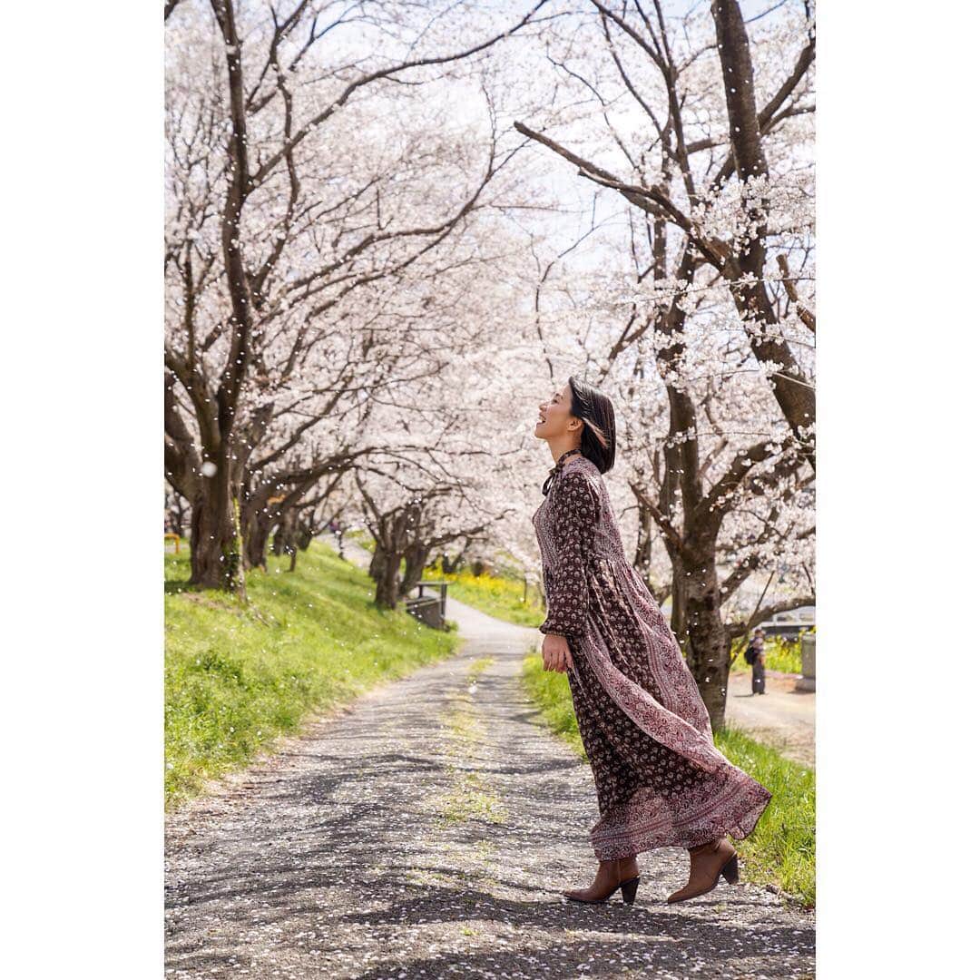 川田希さんのインスタグラム写真 - (川田希Instagram)「🌸🌸🌸 . . . #桜 #さくら #cherryblossom #japan #tokyo #sakura #portrait #photography #写真好きな人と繋がりたい #instagood #instajapan」4月9日 21時46分 - nozomikawata