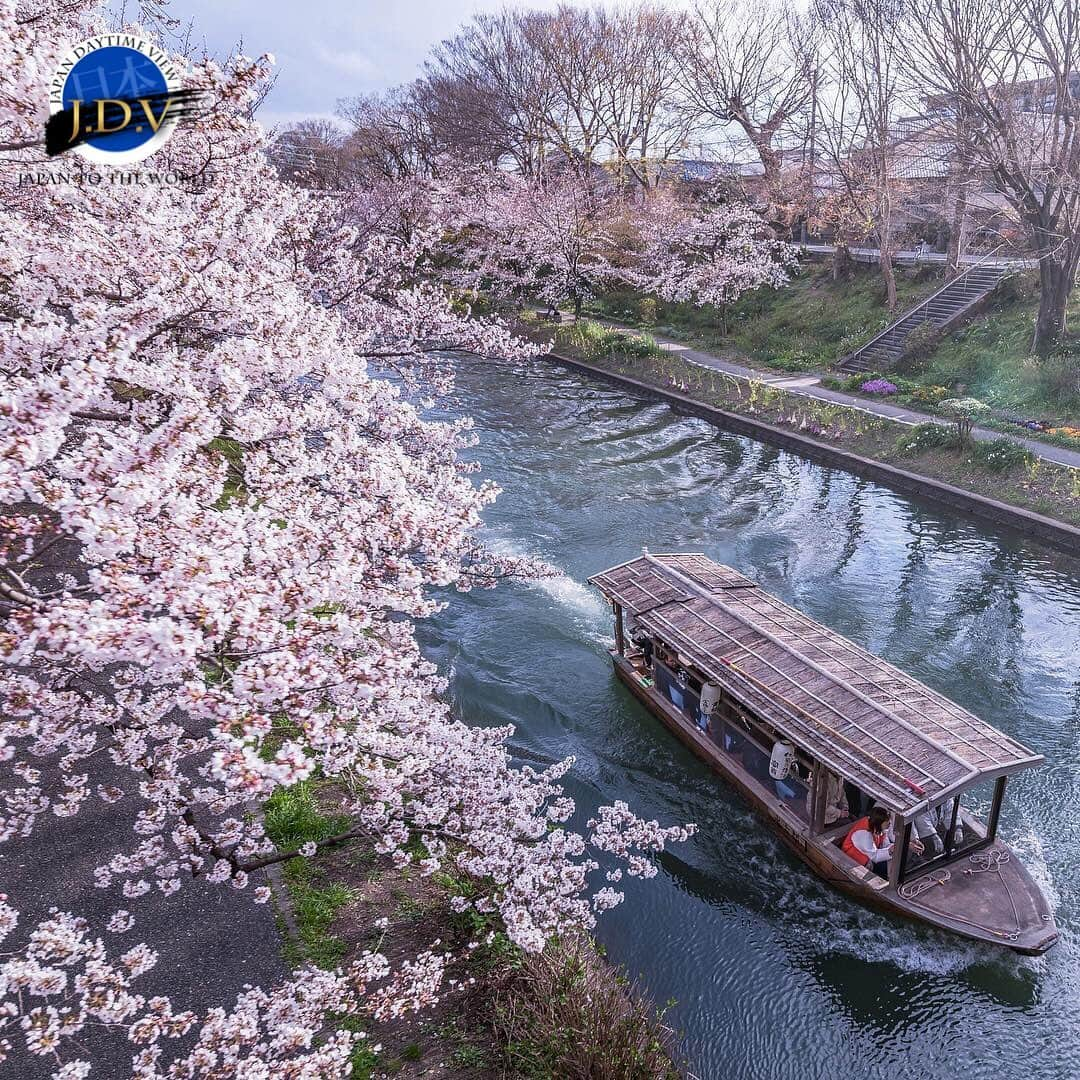 japan_daytime_viewさんのインスタグラム写真 - (japan_daytime_viewInstagram)「⁑ ✨👑 J D V Photo Of The Day 👑✨ ⁑ ✨🎊 C O N G R A T U L A T I O N S 🎊✨ 素敵な作品をシェアして頂き有難う御座います🙏🏻 ⁑ Photographer :  @tottoko.tko  Location :  京都府 Photo Selected : @mikanino_2016 フィーチャー条件 ① 撮影地（都道府県名）が判別出来る情報の記載 。 ② @Japan_Daytime_View をフォロー。 ③ ハッシュタグに #Japan_Daytime_View を付加。 ⁑ Admin : @masa.105 Mod : @happydays796 Mod : @estrella1868 Mod : @396_zima Mod : @kimako_ Mod : @mikanino_2016 ⁑ 🎌Japan Viewグループ🎌  @japan_daytime_view (日の出〜日没迄の写真) @japan_night_view (日没から日の出迄の写真) ----------------------------------------- #Japan#日本#風景#京都#桜#渡し船」4月9日 21時53分 - japan_daytime_view