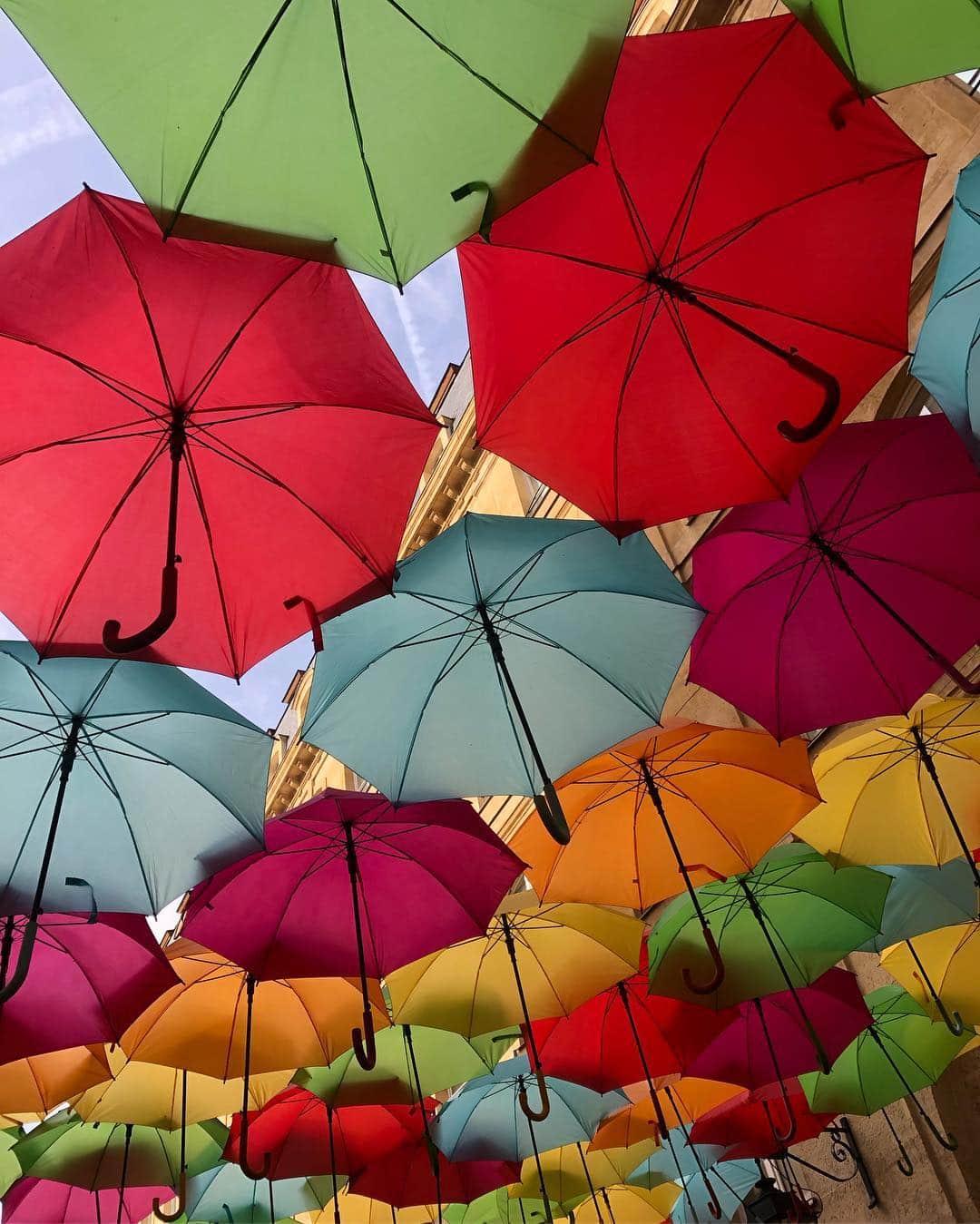 佐藤かよさんのインスタグラム写真 - (佐藤かよInstagram)「💐 . . . 傘も嬉しそう  기뻐 보인다  #우산꽂이」4月9日 22時02分 - satokayo1226
