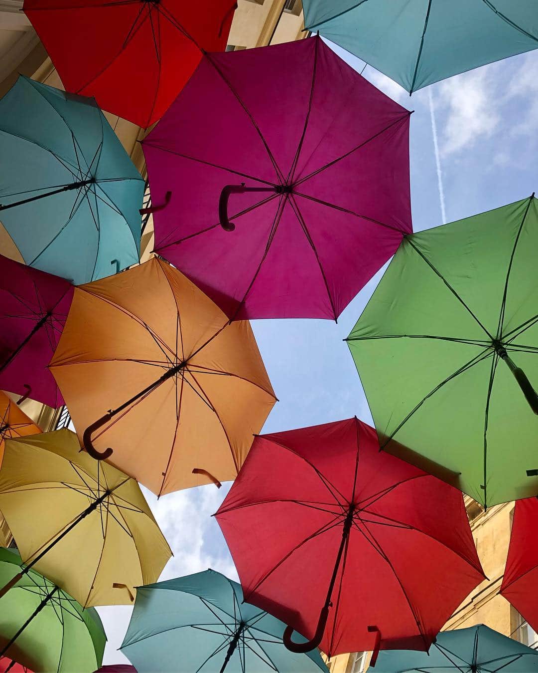 佐藤かよさんのインスタグラム写真 - (佐藤かよInstagram)「💐 . . . 傘も嬉しそう  기뻐 보인다  #우산꽂이」4月9日 22時02分 - satokayo1226