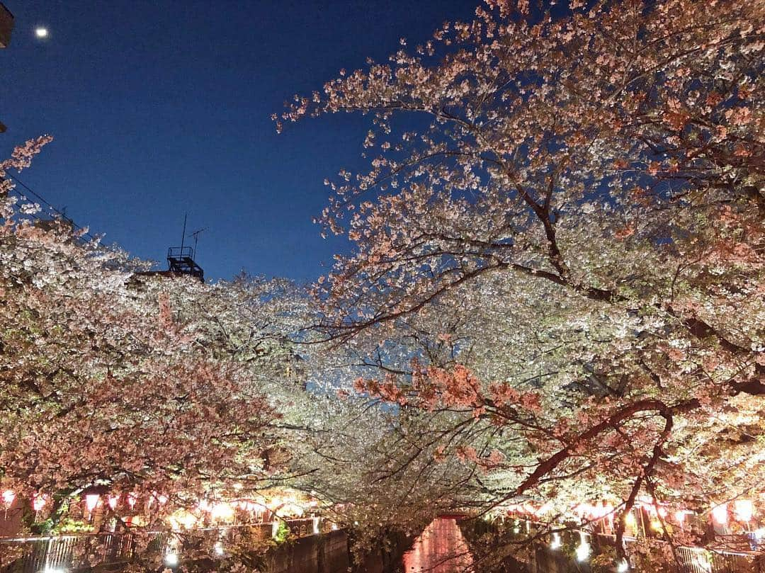 小澤しぇいんさんのインスタグラム写真 - (小澤しぇいんInstagram)「夜桜🌙やっと花見に行けました🌸 さすがに桜の木も緑がチラチラと🌱 もう暖かいかなと思ったらすごく寒い…。 半袖のワンピースも寒かった…。 でも可愛いから暖かくなったらもっとたくさん着ようかな❤️ #titivate  #フレアマキシワンピース #ティティベイト #titivatestyle #シンプルコーデ #coordinate #ootd @titivatejp」4月9日 22時03分 - 1217_shane