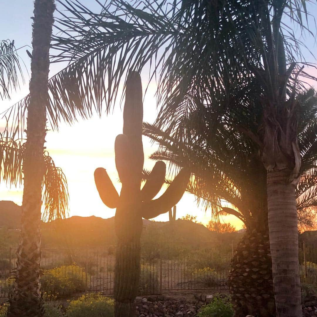 シネイド・ケアーさんのインスタグラム写真 - (シネイド・ケアーInstagram)「Goodbye beautiful Arizona🏜 See you again in September......😊👋🏻」4月9日 22時15分 - sineadskate