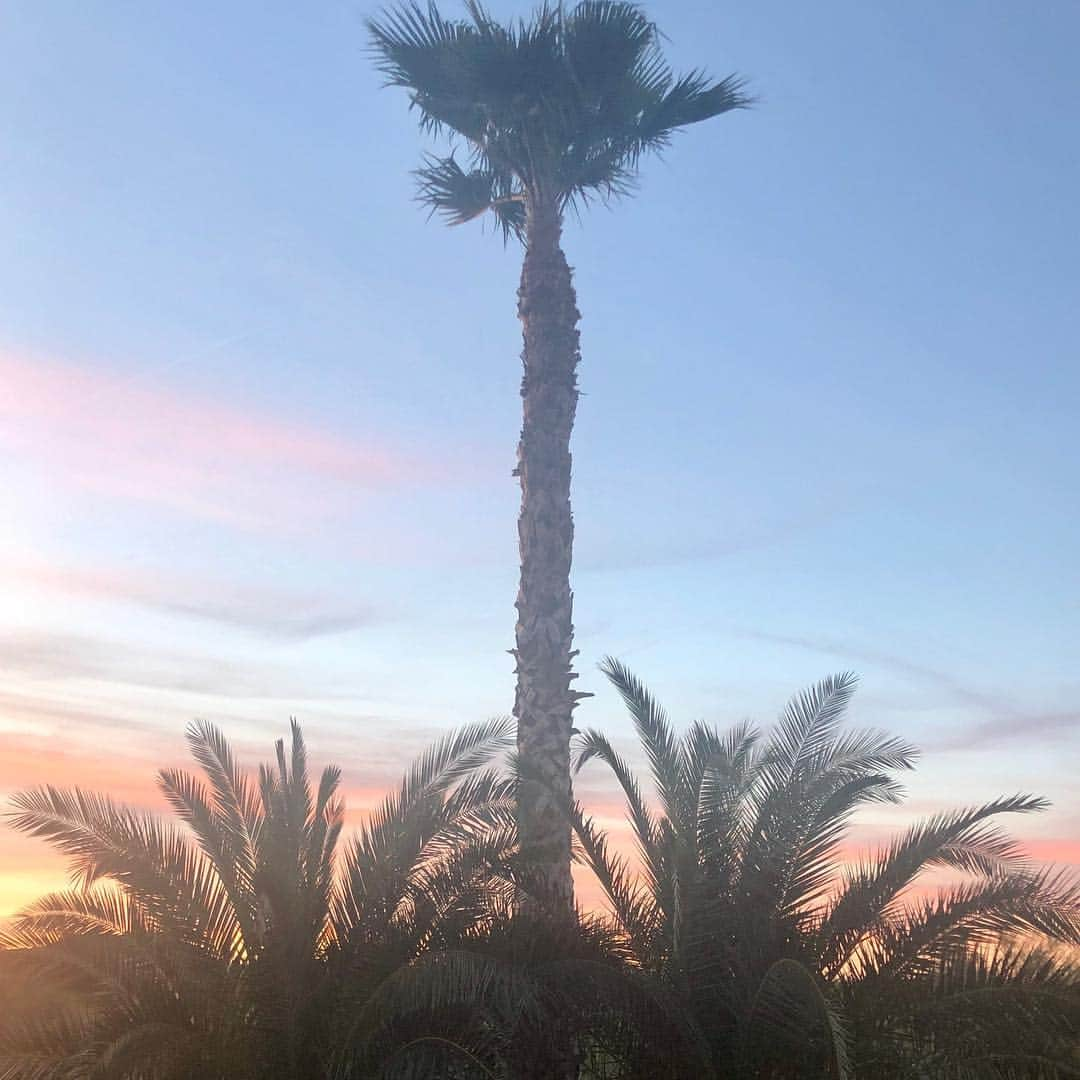 シネイド・ケアーさんのインスタグラム写真 - (シネイド・ケアーInstagram)「Goodbye beautiful Arizona🏜 See you again in September......😊👋🏻」4月9日 22時15分 - sineadskate