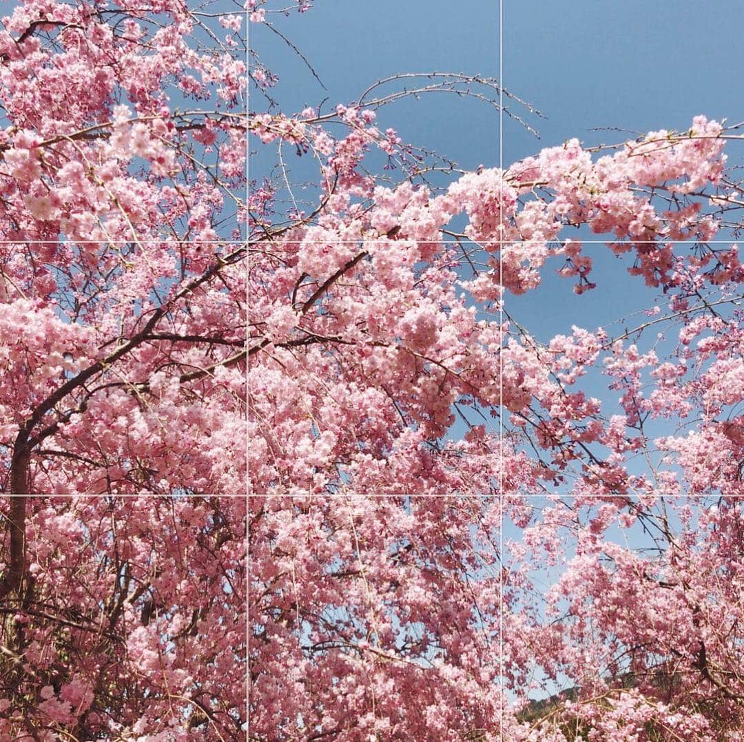 陣内勇人のグルメインスタ