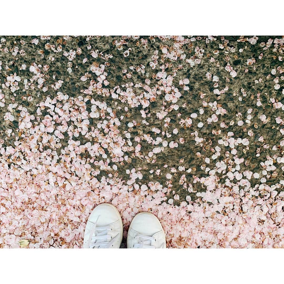 紗栄子さんのインスタグラム写真 - (紗栄子Instagram)「Sakura🌸🌸🌸 #tokyo」4月9日 22時27分 - saekoofficial