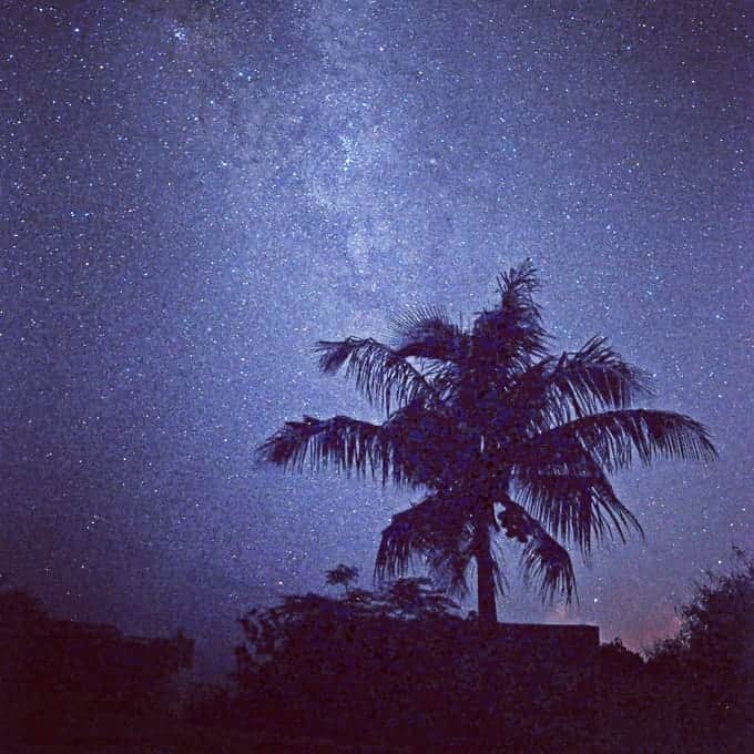マリアナ政府観光局さんのインスタグラム写真 - (マリアナ政府観光局Instagram)「星々のきらめきを感じて心も体もリラックスしたら良い夢が見れるかも。まるで宝石箱のようなマリアナの星空picに癒やされて♡ . ©Stargazing Saipan/Yasuhito Taguchi . #サイパン #テニアン #ロタ #マリアナ #星空 #星景 #夜空 #🌃 #天の川 #ヤシ #夜景 #夜景🌃 #星景写真 #星空撮影 #StargazingSaipan #saipan #tinian #rota #mymarianas #cnmi #earthpic #milkyway #wonderfulplaces #amazingearth #nightsky #nightscape #bestdarkphoto #astrophotography #milkywaygraphy」4月9日 22時29分 - mymarianas_mva
