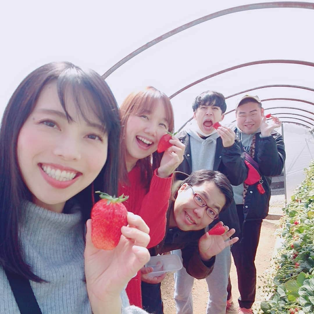 和泉杏さんのインスタグラム写真 - (和泉杏Instagram)「ランチの実家のいちご農園 【長良園（ながらえん）】でいちご狩り♪ . 昨年でファイナルを迎えた 『ハルカラと行くいちご狩りツアー』は、毎年ここに連れてきてたんです～♪ . 最高でした♪ . . . #ハルカラ #浜名ランチ の実家 #いちご農園 #いちご狩り #長良園 #ながらえん #いちご #イチゴ #苺 #ジャガモンド #イエスアキト #yesアキト #ギャグ芸人 #ウチガヤ #ダブルパチンコ #ダブルイチゴ ？ #晴天」4月9日 22時34分 - izumikyou