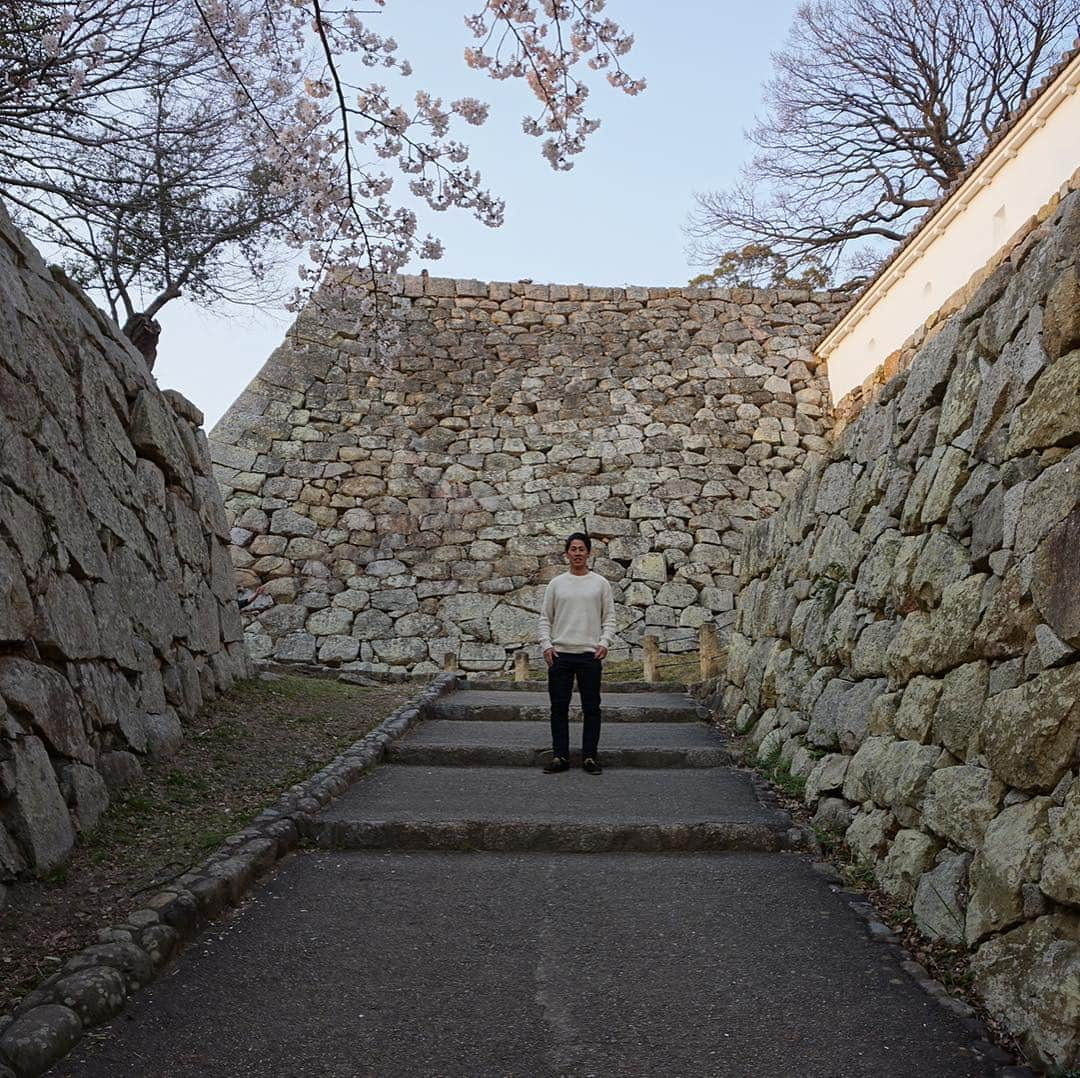 凰津りささんのインスタグラム写真 - (凰津りさInstagram)「最後は‥‥明石城🏯 . . こちらも規模が大きくてビックリ‼️ 規模的には姫路城より大きいらしい🧐 . . 夕焼けと明石城のコラボレーションが素敵過ぎた💖 . . 最近たいちゃんとどっちが綺麗に写真撮れるか競いながら写真を撮ってる。。。笑 . たいちゃん朝から運転ありがとう🚗 私は助手席でずーっと喋ってただけ😸 . 姫路城、好古園、明石城と 歩き過ぎ&階段多過ぎで久々に動いて筋肉痛MAX🦵‼️ . . 私ストレス溜まってないと思ってたけど、 二人で出掛けると息抜きしてる感じがあるわ〜♡ . 泊まり抜きの日帰り旅行は月曜日からの仕事に響かないからイイかも❣️ . . #二人の時間 #夫婦の時間 #息抜き #デート #城巡り #明石城 #日本の名城 の #姫路城 #尼崎城 も出来るらしい❣️ #運転ありがとう😊」4月9日 22時50分 - outsu.risa95