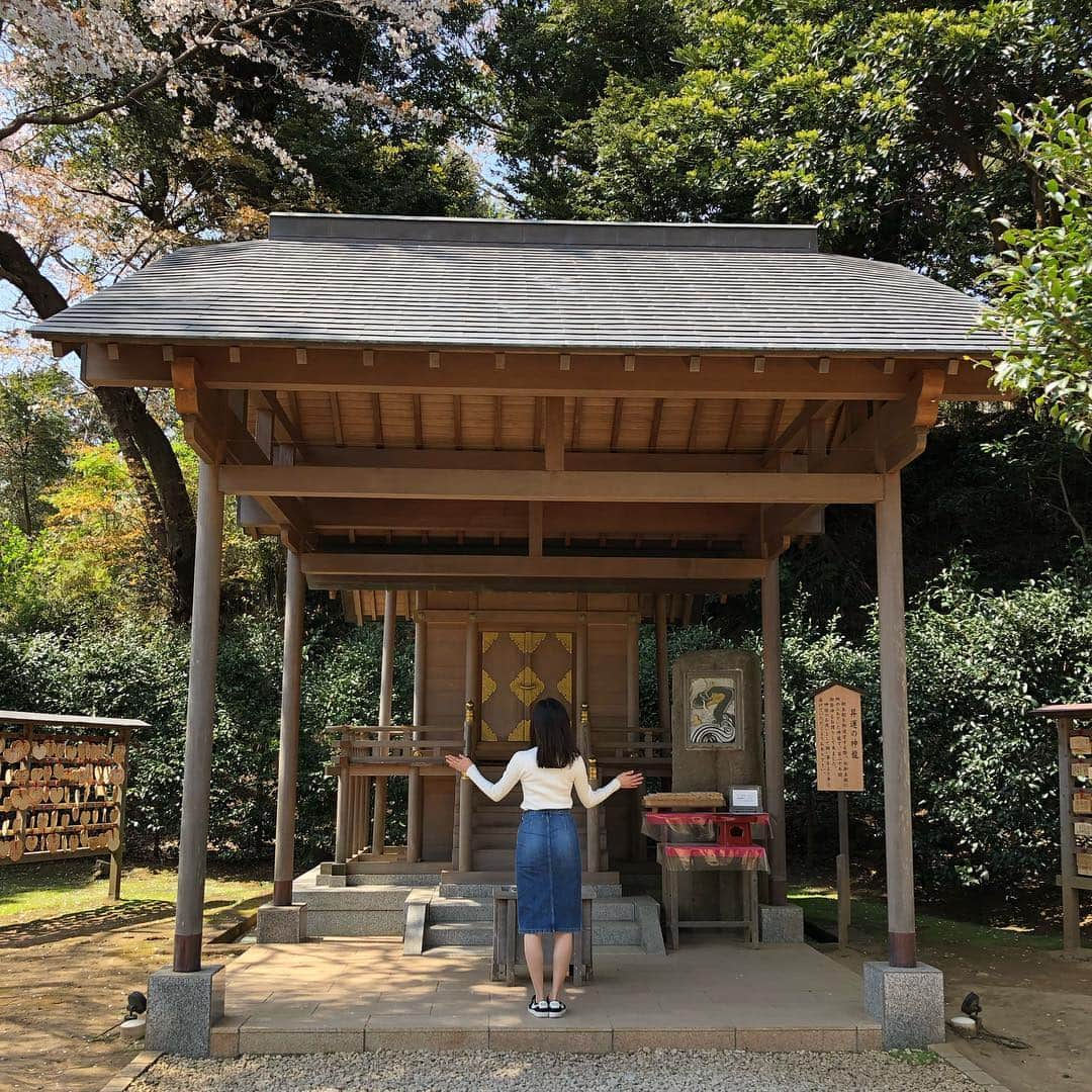 上野優花さんのインスタグラム写真 - (上野優花Instagram)「⛩葛原岡神社 縁結びの神様です。 急勾配の坂を上り続けた所にあります。 思いがけず登山気分。というか登山。笑 鳥居の前の桜の木々が素晴らしいのに、 お花見客はそんなに多くなくて穴場かも🌸 鎌倉って梅雨の紫陽花時期か夏しか行ったことなかったけど、春も最高ですね😊✨ #拍手は大きめ #ワセジョ旅 #春の鎌倉旅 #私の参拝日記  #街中の桜もいいけど自然の中の桜はもっといい」4月9日 22時44分 - yuka_ueno89