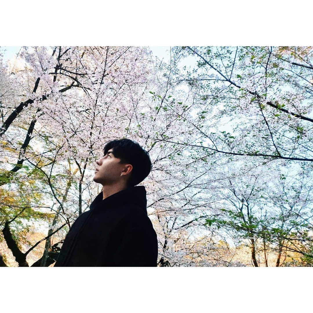 ダンソン・タンのインスタグラム：「唐攝影上線🌸🌸🌸 #DT視角 #东京 #櫻花  #唐禹哲 #TOKYO #cherryblossom #sakura #HOTHEART #SEVENDAYS #DT」