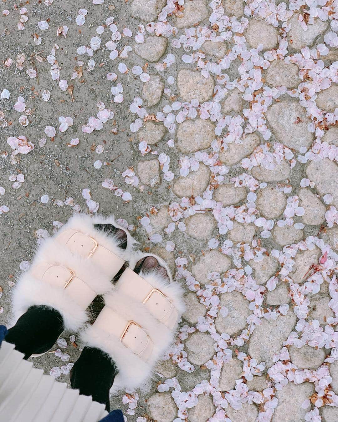 上野瞳さんのインスタグラム写真 - (上野瞳Instagram)「今年まわれたお花見スポット🥰❤️﻿ #靖国神社 #千鳥ヶ淵 #皇居 #中目黒 #六本木﻿ #花園神社 #上野公園 #浅草 #隅田川 #鎌倉 #🌸﻿ ﻿ ﻿ 今年は咲いている時期が長くて﻿ 色ーんなところまわれて本当嬉しかった😂👏﻿ 中でも靖国神社、千鳥ヶ淵、皇居、花園神社は﻿ 初めて見た場所だけどこれから毎年見たいな﻿ って思えるくらい良いところばかりでした✨﻿ ﻿ #お花見 初日は寒くて #冬 の #アウター だったけど﻿ 最後はスプリングコートが着られるくらい﻿ あたたかくなって #春 を感じました🥰﻿ こちらは今季の #コート なのでタグ付けしとくね🏷﻿ ﻿ #ひぃコーデ #コーデ #春コーデ #トレンチコート #スプリング #ファッション #花見 #桜 #さくら﻿ #TONAL #tonaljapan #トーナル #サクラ #sakura」4月9日 23時03分 - hitomi.8