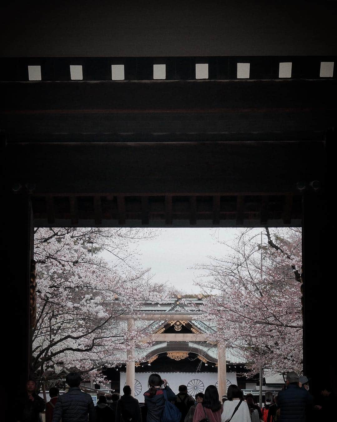 上野瞳さんのインスタグラム写真 - (上野瞳Instagram)「今年まわれたお花見スポット🥰❤️﻿ #靖国神社 #千鳥ヶ淵 #皇居 #中目黒 #六本木﻿ #花園神社 #上野公園 #浅草 #隅田川 #鎌倉 #🌸﻿ ﻿ ﻿ 今年は咲いている時期が長くて﻿ 色ーんなところまわれて本当嬉しかった😂👏﻿ 中でも靖国神社、千鳥ヶ淵、皇居、花園神社は﻿ 初めて見た場所だけどこれから毎年見たいな﻿ って思えるくらい良いところばかりでした✨﻿ ﻿ #お花見 初日は寒くて #冬 の #アウター だったけど﻿ 最後はスプリングコートが着られるくらい﻿ あたたかくなって #春 を感じました🥰﻿ こちらは今季の #コート なのでタグ付けしとくね🏷﻿ ﻿ #ひぃコーデ #コーデ #春コーデ #トレンチコート #スプリング #ファッション #花見 #桜 #さくら﻿ #TONAL #tonaljapan #トーナル #サクラ #sakura」4月9日 23時03分 - hitomi.8