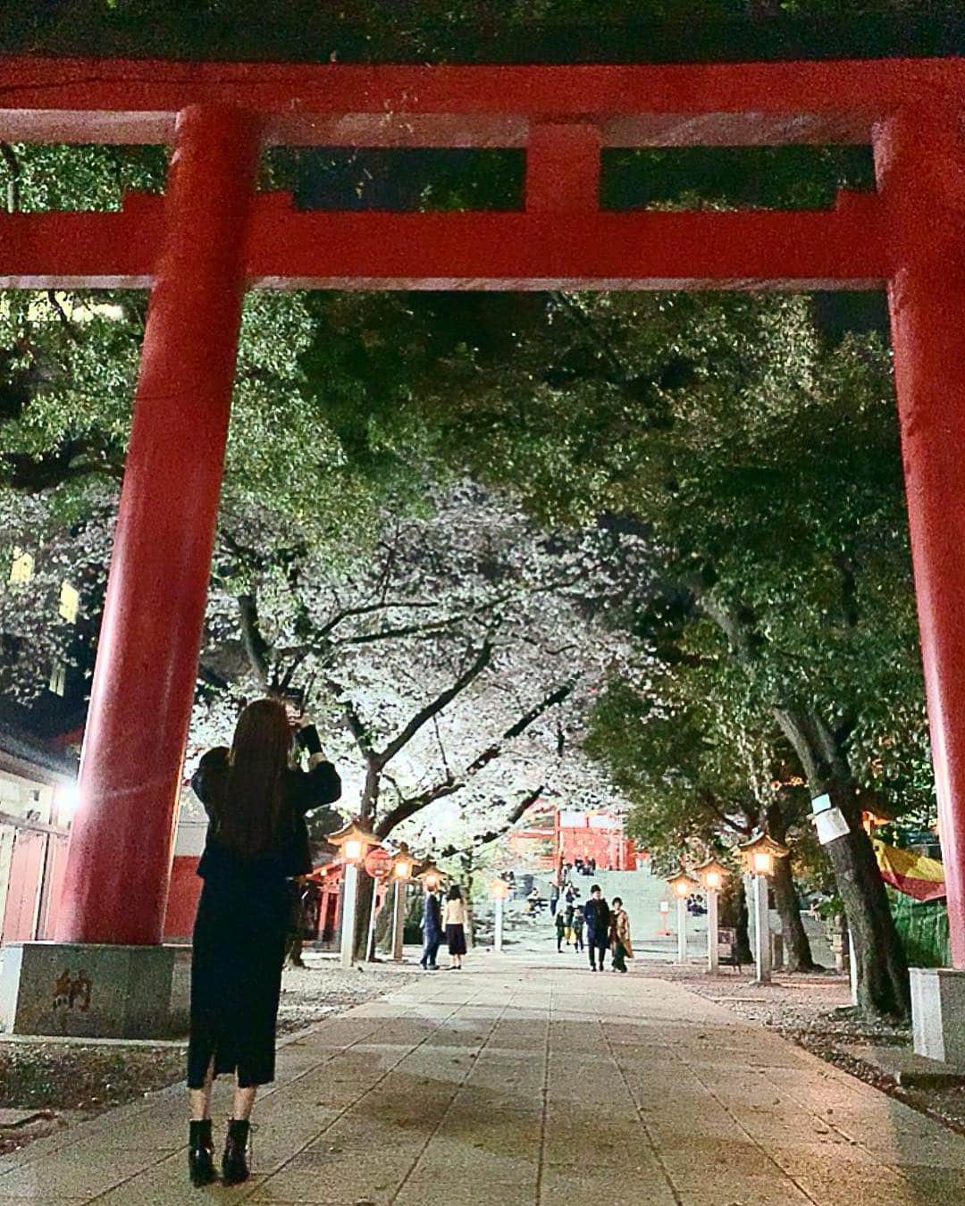 上野瞳さんのインスタグラム写真 - (上野瞳Instagram)「今年まわれたお花見スポット🥰❤️﻿ #靖国神社 #千鳥ヶ淵 #皇居 #中目黒 #六本木﻿ #花園神社 #上野公園 #浅草 #隅田川 #鎌倉 #🌸﻿ ﻿ ﻿ 今年は咲いている時期が長くて﻿ 色ーんなところまわれて本当嬉しかった😂👏﻿ 中でも靖国神社、千鳥ヶ淵、皇居、花園神社は﻿ 初めて見た場所だけどこれから毎年見たいな﻿ って思えるくらい良いところばかりでした✨﻿ ﻿ #お花見 初日は寒くて #冬 の #アウター だったけど﻿ 最後はスプリングコートが着られるくらい﻿ あたたかくなって #春 を感じました🥰﻿ こちらは今季の #コート なのでタグ付けしとくね🏷﻿ ﻿ #ひぃコーデ #コーデ #春コーデ #トレンチコート #スプリング #ファッション #花見 #桜 #さくら﻿ #TONAL #tonaljapan #トーナル #サクラ #sakura」4月9日 23時03分 - hitomi.8