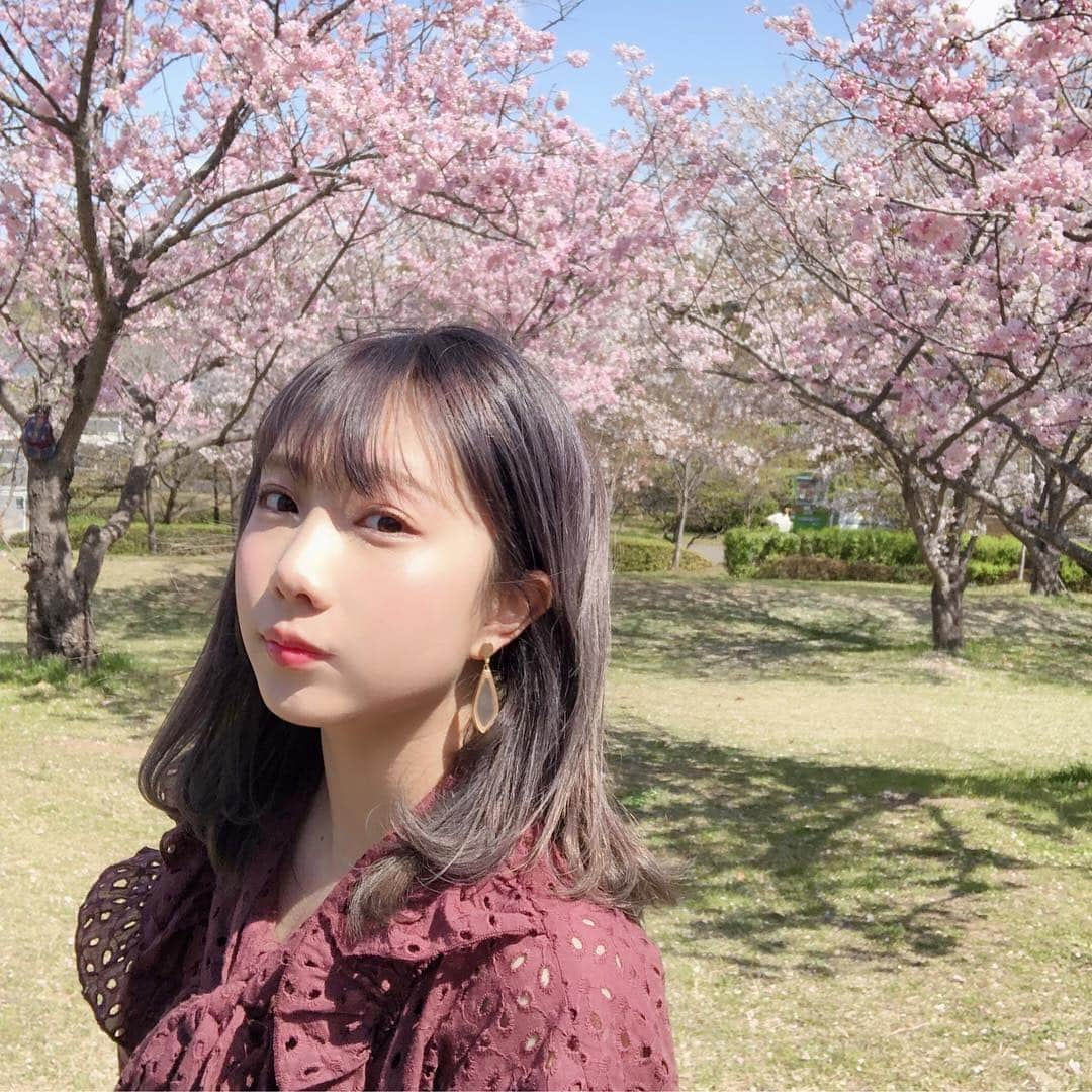 きりたんぽさんのインスタグラム写真 - (きりたんぽInstagram)「. YouTube初投稿から今日で3年が経ちました。 みんな本当にありがとう」4月9日 23時03分 - kiritampopopo