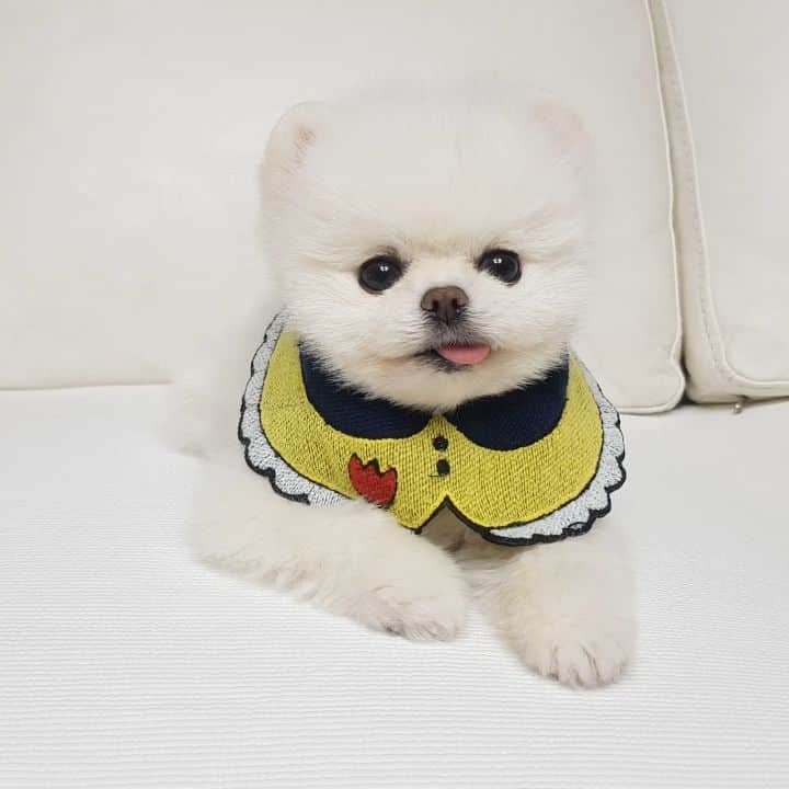 thesoy_yoonsoのインスタグラム