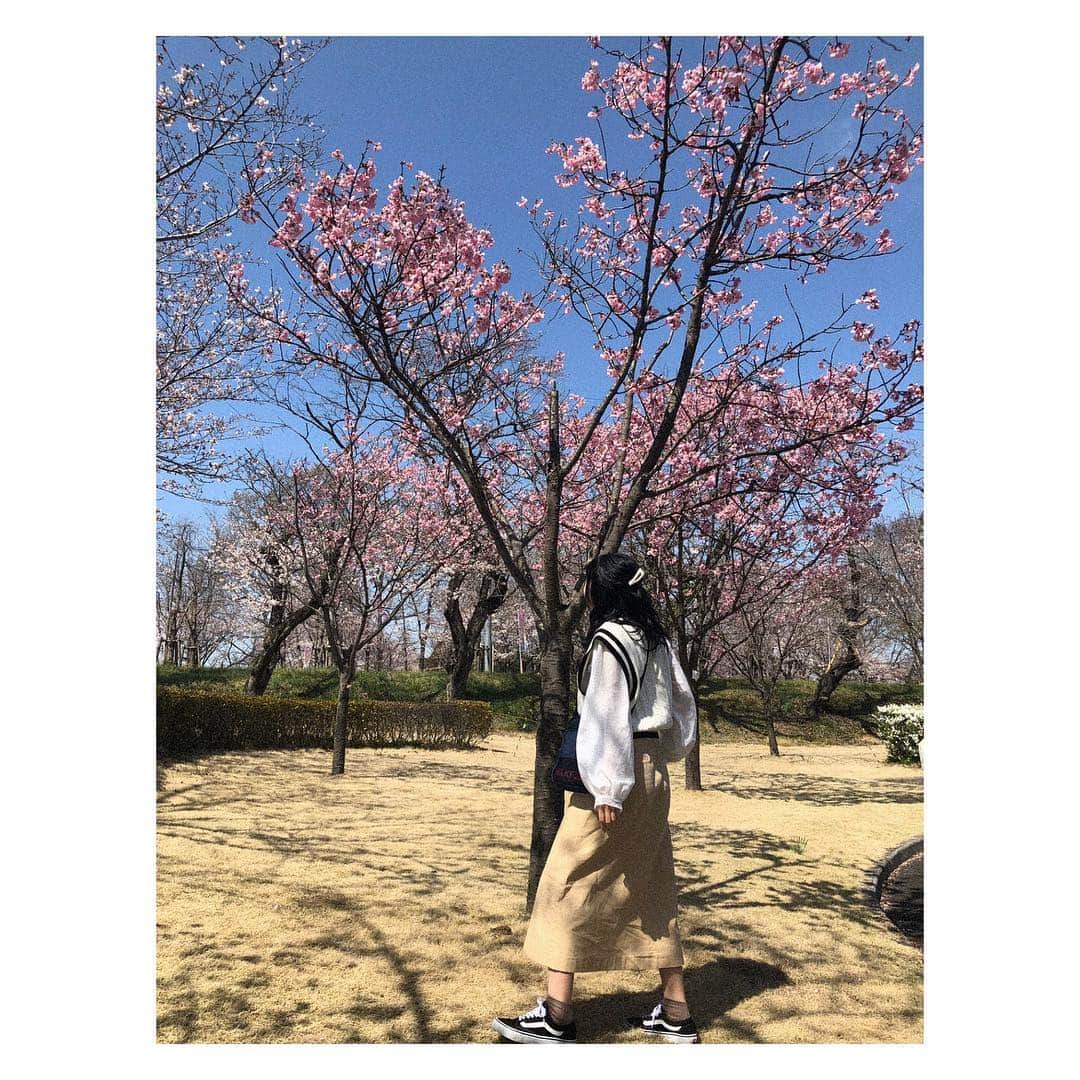 松崎博香さんのインスタグラム写真 - (松崎博香Instagram)「みんなはもうお花見したのかな？ 私はこの前実家に帰った時に家族と行ってきたよ🥺🌸 明日は寒いらしいからあたたかくして出かけてね🌂  #桜 #꽂」4月9日 23時16分 - hiichan_starmarie