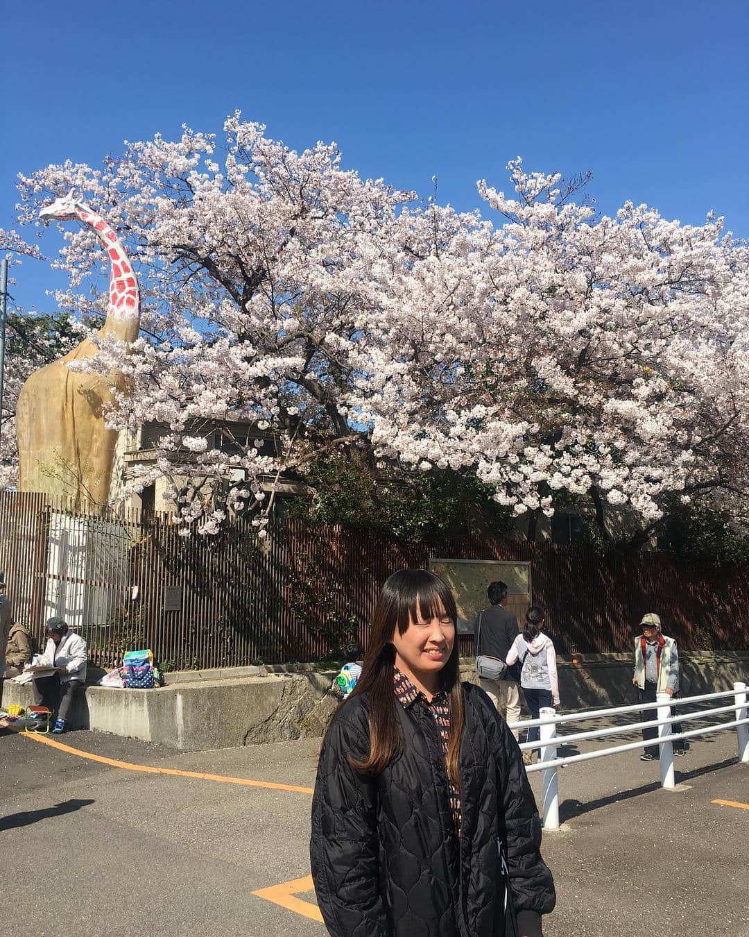 宮本菜津子さんのインスタグラム写真 - (宮本菜津子Instagram)「🌸🌸✨🙏🏻🙏🏻🙏🏻🙏🏻🙏🏻✨🌸🌸 - 本日、36歳になりました！びっくり！ - 今年も無事誕生日を迎えられたことをありがたく思うとともに、ここからの1年も元気にはつらつと過ごせるよう、ますます自分の気持ちに正直な自分でおりたいな〜と思っています。身体を大事に、こころも大事に、とにかく自分を大大大事に！みなさんこれからも何とぞよろしくね！元気に、生きようね🤘🏻 - 写真は、今日、王子動物園前にて友人が撮ってくれた微妙な一枚。園内も、さくら咲きまくってて最高でした。ちょーおすすめ！ここ数年でいちばんの誕生日だった〜🌸 - I turned 36 today! I'm very happy to be able to face this day. Thank you for everyone. I love you guys! Keep on rockin'🤘🏻 - #王子動物園 #ojizoo #桜 #sakura #cherryblossom」4月9日 23時09分 - natsukondesu