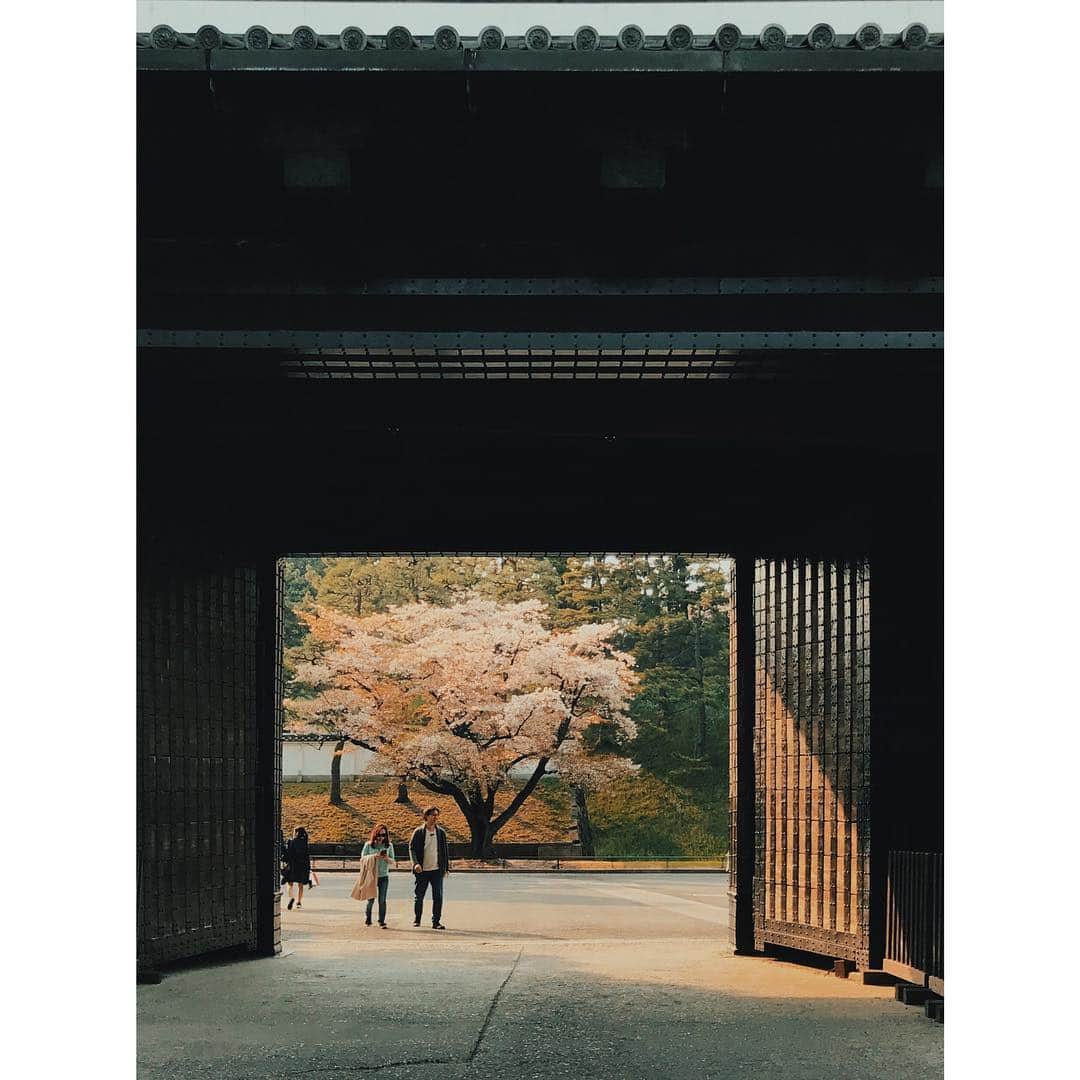 kazhixさんのインスタグラム写真 - (kazhixInstagram)「. . Sakura in the Frame . . iPhone7 . . . #ShotoniPhone #instagram #igersjp #instagramjapan #mwjp #hueart_life #reco_ig #indies_gram #team_jp_東 #ファインダー越しの私の世界 #東京カメラ部 #lovers_nippon  #jj_forum_3038」4月9日 23時26分 - kazhix