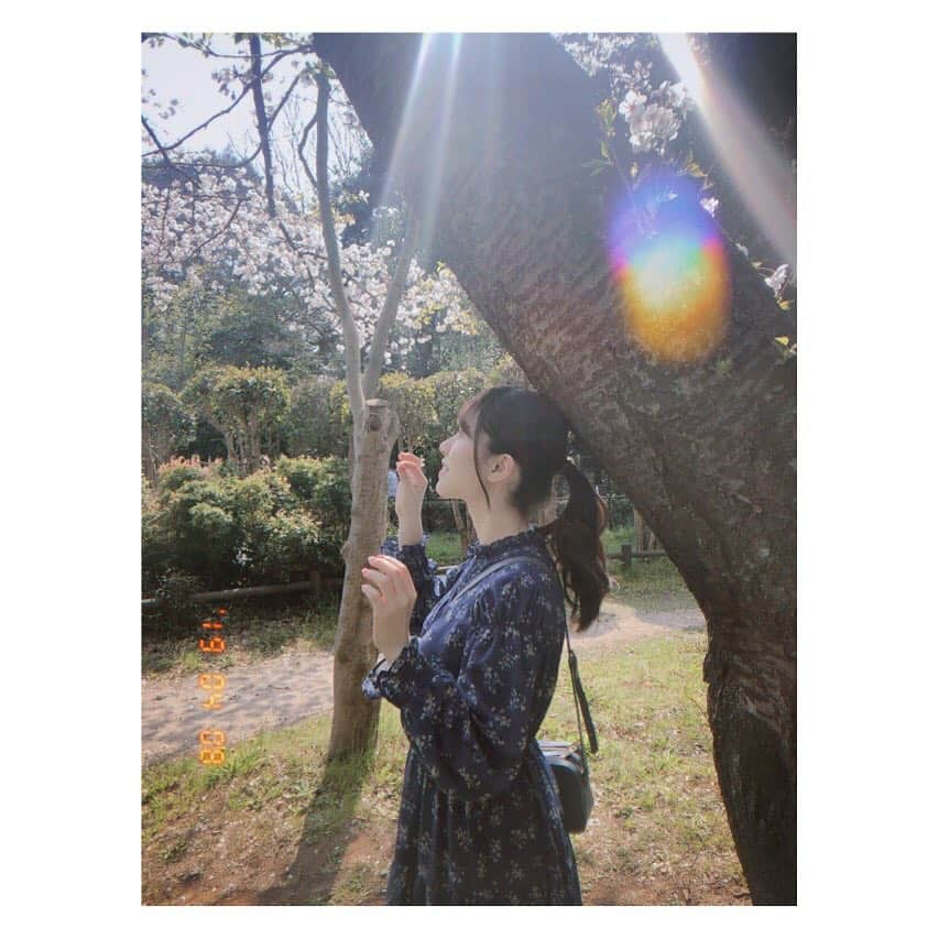 星名あゆみさんのインスタグラム写真 - (星名あゆみInstagram)「お昼頃の公園。🌸 ・﻿ ・﻿ ・﻿ #instagramjapan #igersjp #indies_gram #portrait #instagoodportraitlove #ig_photooftheday #followｍe #good_portraits_world #ポートレート #sakura #桜 #公園 #フィルムカメラ #film #アイドル #ootd #ワンピース #like4likes #春 #cherryblossom」4月9日 23時34分 - hoshina_ayumi