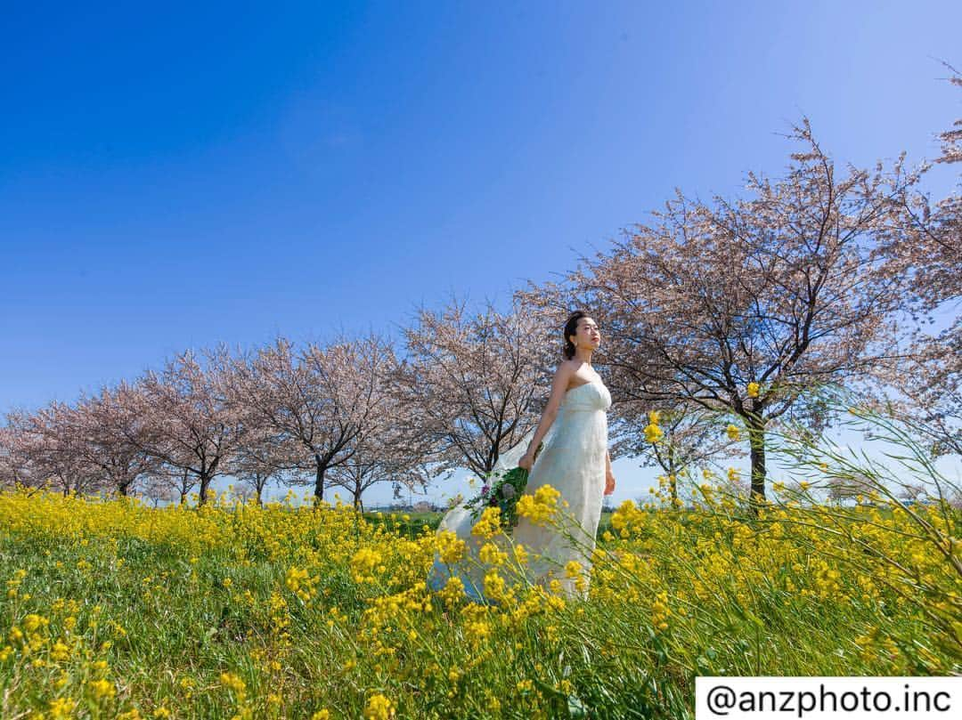 木谷有里さんのインスタグラム写真 - (木谷有里Instagram)「安澤剛直カメラマンと🌸📷 至極のウエディングフォト撮影😉 ↓↓↓ 櫻貸切！ 櫻の時期って撮影許可が取れなかったり、どこもかしこも花嫁さんとバッティングしてみんなで同じ場所で似たような写真を撮って。。。。 そんな撮影が嫌で見つけた絶景ポイント！！櫻の貸切！！ #anzphoto #topweddingphotographer #ウエディングフォト #前撮り #前撮りポーズ #櫻 #桜 #prewedding #japanwedding #weddingjapan #takenaoanzawa #桜の前撮り #桜貸切 #一生に一度 #至極のウエディングフォト」4月9日 23時30分 - kitani_yuri