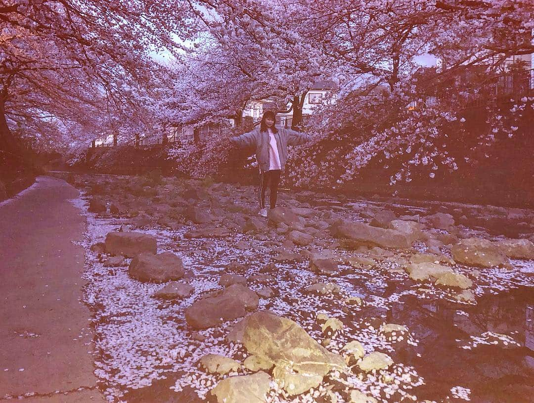 柏元萌華さんのインスタグラム写真 - (柏元萌華Instagram)「ぎりぎり桜見れました👀🌸 川の中にも入れてすごくない？ . . . . #桜#さくら#ピンク#japan#blossom #pink#川#神奈川#japanesegirl #instafashion #instagood #instadaily #likeme#followme#フォローミー #팔로우#친스타그램#메이크업#멋스타그램#일본#いいね#love#친스타그램#메이크업#멋스타그램#일본#happy#tbt」4月9日 23時38分 - moepiii3_k