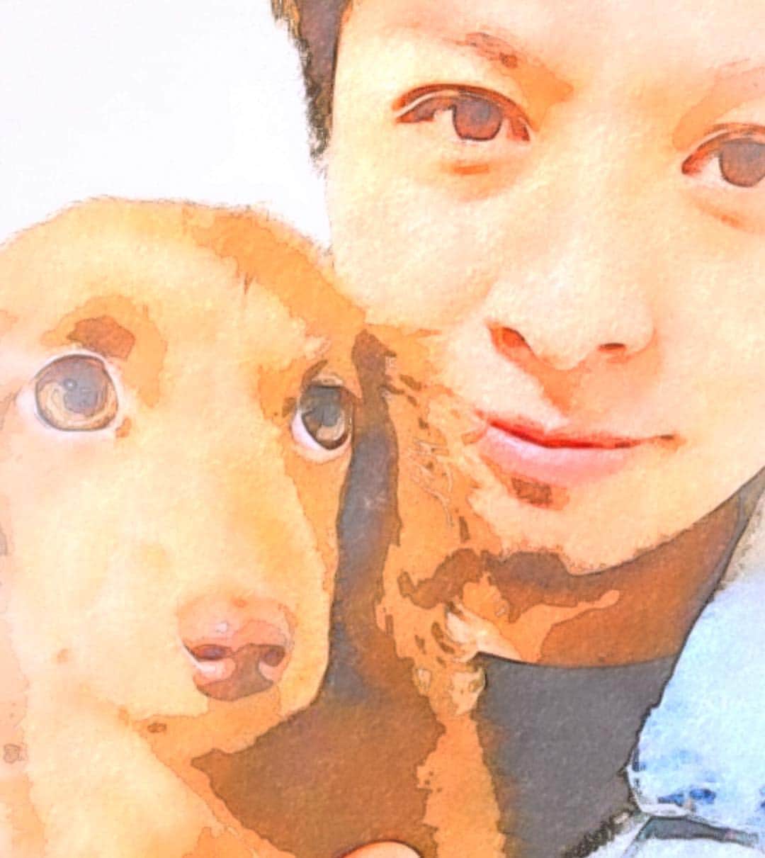 北見寛明のインスタグラム：「名前 #皆様沢山の名前候補ありがとうございました #名前決まりました #malo #マロ #です #候補送ってくれた方には #airjordan  #プレゼントします #皆様malo可愛がってあげて下さい #犬 #仔犬 #ミニチュアダックス #dog #dogs #dogstagram #dogsofinstagram #dogs_of_instagram #dogsofinstaworld #doglover #dachshundgram #dachshund #dachshund_love #dachshundpuppy」