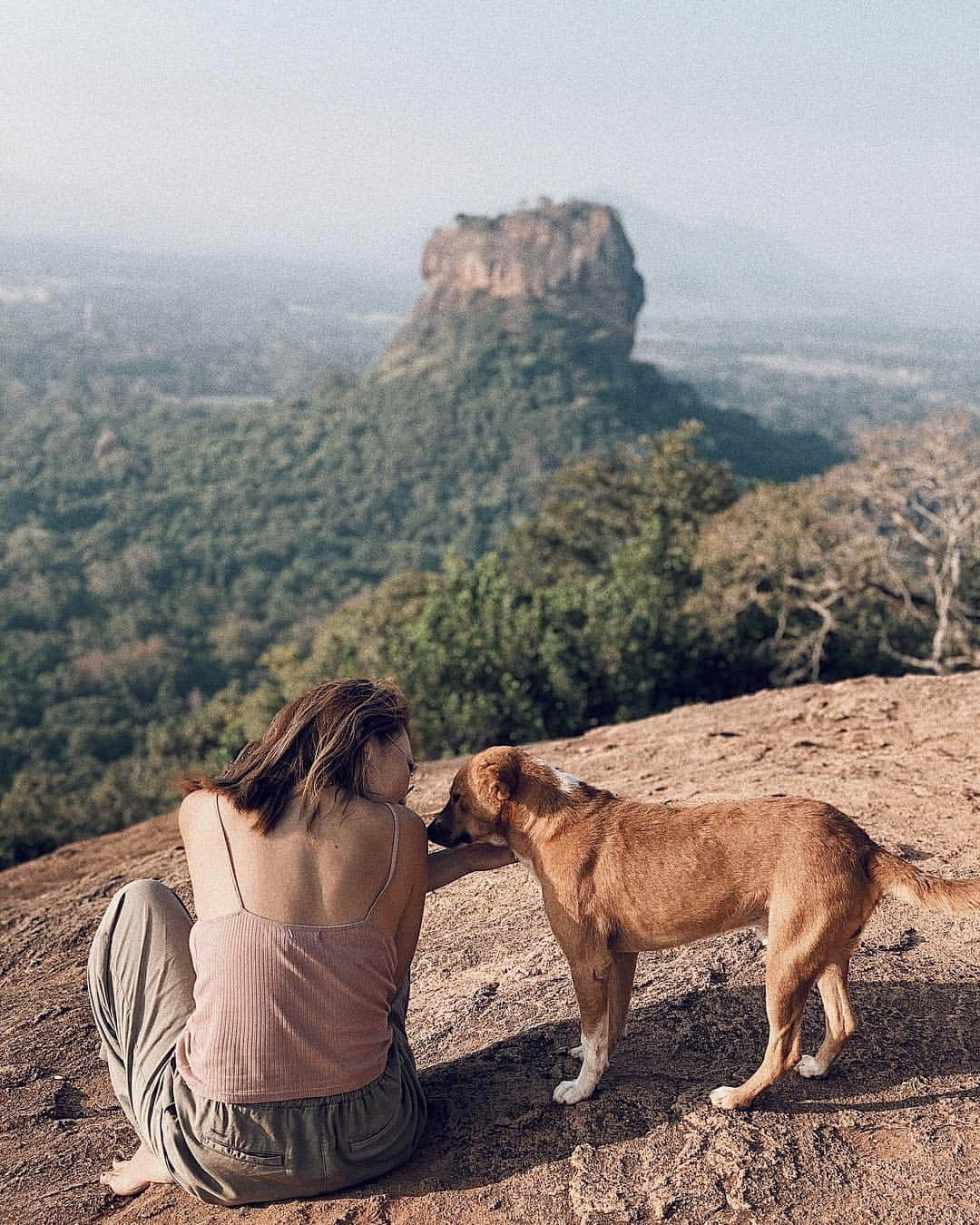 Manamiさんのインスタグラム写真 - (ManamiInstagram)「Pidurangala Rock w/🐕 ㅤ シーギリヤロックviewなこちらの岩🌄 わんこたちも早朝から登っていて、 帰りは一緒に下山🐕🐕🐕 私はシーギリヤロックよりこっちがお気に入り✨ ㅤ 📸 @mina__37__」4月9日 23時39分 - manashika