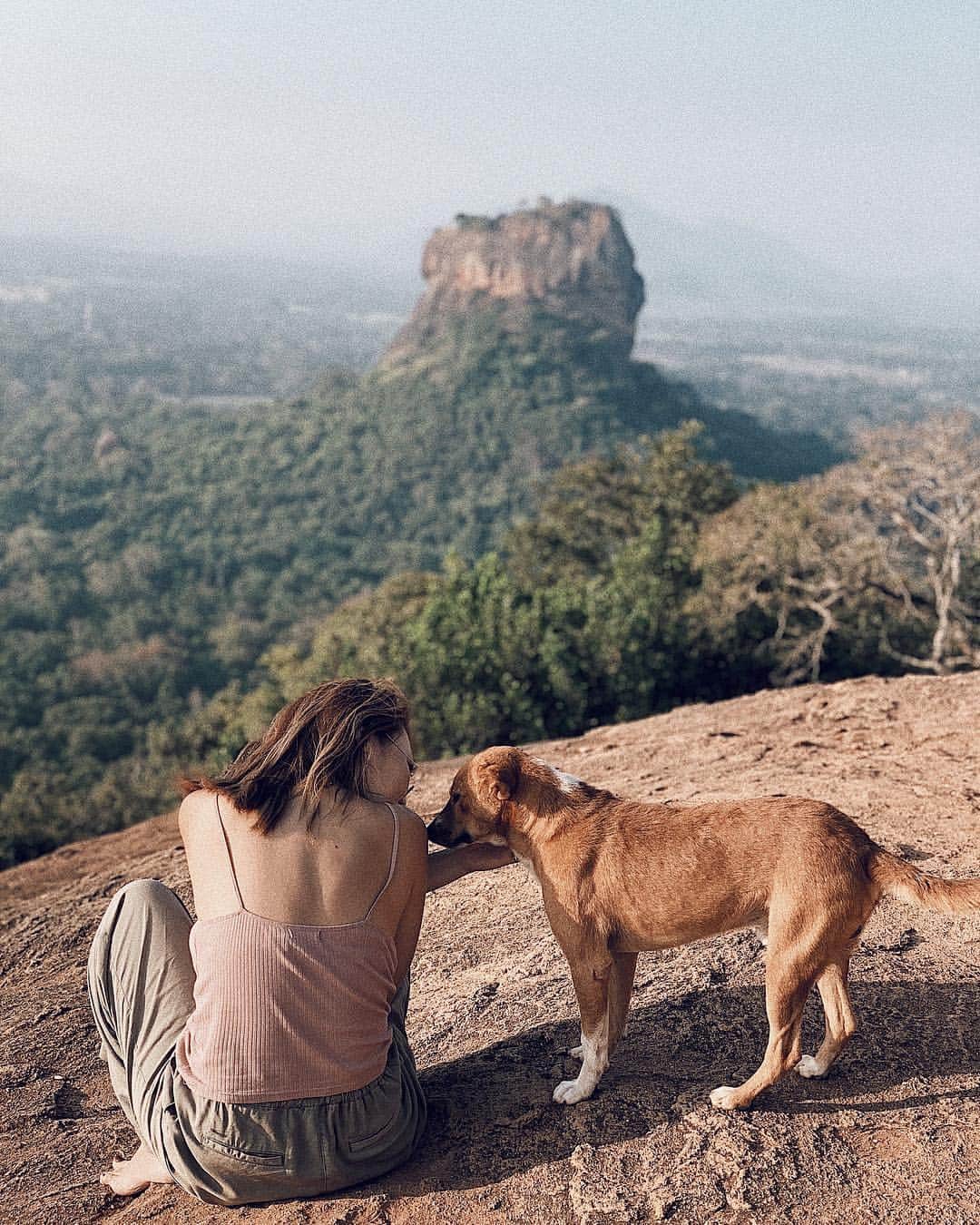 Manamiのインスタグラム：「Pidurangala Rock w/🐕 ㅤ シーギリヤロックviewなこちらの岩🌄 わんこたちも早朝から登っていて、 帰りは一緒に下山🐕🐕🐕 私はシーギリヤロックよりこっちがお気に入り✨ ㅤ 📸 @mina__37__」