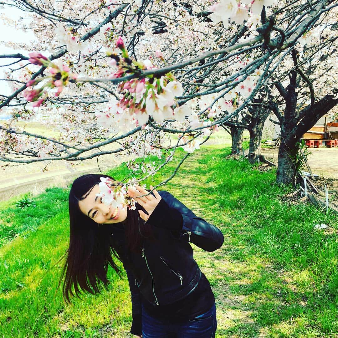 ヨーコさんのインスタグラム写真 - (ヨーコInstagram)「さくら！！！ ・ ・ ・ 毎年毎年想う。 心踊る。 桜の魅力。 みんなあなたのとりこ♡ #桜 #さくら #🌸 #cherryblossom #cherryblossoms  #sakura  #花見 #お花見  #お花見🌸 #日本の春  #埼玉 #越生  #キャンプ #ドライブ  #camp #girlscamp  #camping #camper  #japan #spring  #drive #rentacar」4月9日 23時53分 - y0k0_1108