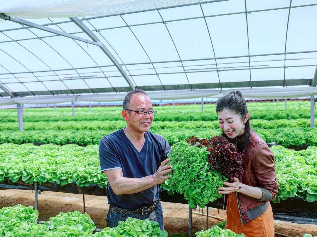 名越涼子さんのインスタグラム写真 - (名越涼子Instagram)「🥬🥬🥬 ・ ・ ・  受け取ってもらえますか。 ・ ・ ・ 🥺🥺🥺🥺 ・ ・ ・ ・ ・ 浜名湖の直売所《よらっせ》に呼んでいただき、 視察取材の旅✍️ 愛知に4年も住んでいたのに こんなに近くにあった、とっておきの〝うまい″もの。 出会いによって人生が変わることがあるけれど、食もしかり。 衝撃の美味しさに出会ってしまった浜松で たくさんの感動をカバンに詰め込み まだまだ旅は続く。 さて、ここからが私の仕事🙋‍♀️ ・ ・ ・ ・  一一一一一一一一一一一一一一一一一一一一一一一一一一一一 #ブーケ#🥬#野菜ブーケ#野菜#vege#vegetable#bouquet#ファーム#谷野ファーム#農業#取材#interview#green#ootd#farm#farmer#農家#農業女子#農業男子#👨‍🌾#👩‍🌾#farmgirl#静岡#浜松#浜名湖#hamanako#花束#野菜束」4月10日 0時01分 - nagoshi_ryo