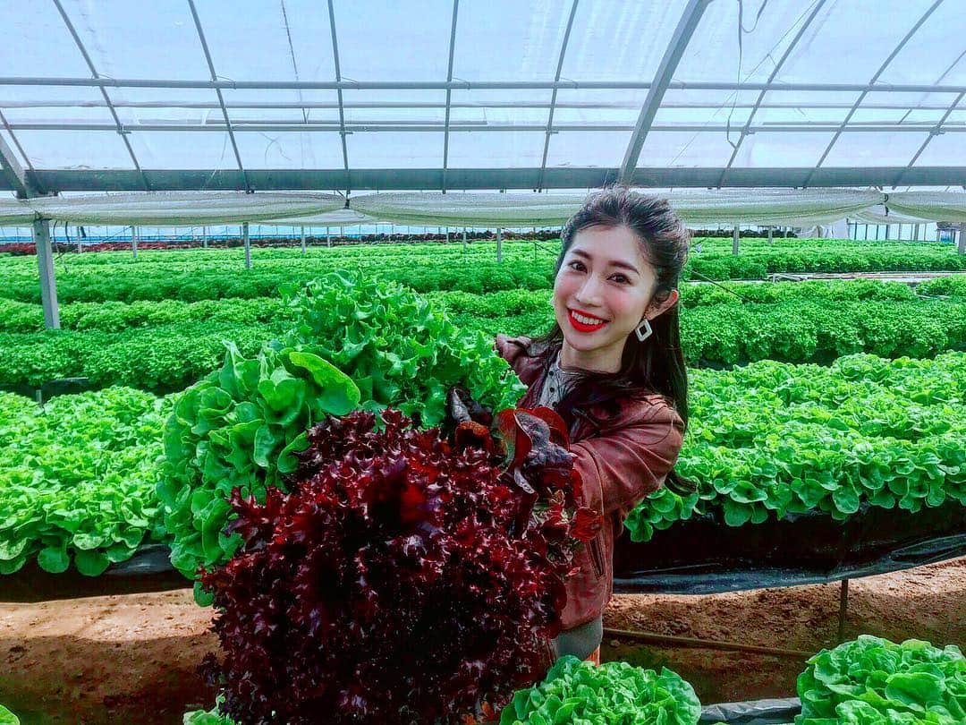 のインスタグラム：「🥬🥬🥬 ・ ・ ・  受け取ってもらえますか。 ・ ・ ・ 🥺🥺🥺🥺 ・ ・ ・ ・ ・ 浜名湖の直売所《よらっせ》に呼んでいただき、 視察取材の旅✍️ 愛知に4年も住んでいたのに こんなに近くにあった、とっておきの〝うまい″もの。 出会いによって人生が変わることがあるけれど、食もしかり。 衝撃の美味しさに出会ってしまった浜松で たくさんの感動をカバンに詰め込み まだまだ旅は続く。 さて、ここからが私の仕事🙋‍♀️ ・ ・ ・ ・  一一一一一一一一一一一一一一一一一一一一一一一一一一一一 #ブーケ#🥬#野菜ブーケ#野菜#vege#vegetable#bouquet#ファーム#谷野ファーム#農業#取材#interview#green#ootd#farm#farmer#農家#農業女子#農業男子#👨‍🌾#👩‍🌾#farmgirl#静岡#浜松#浜名湖#hamanako#花束#野菜束」