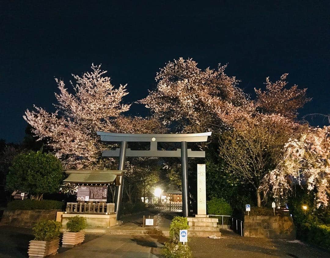 兼田恵さんのインスタグラム写真 - (兼田恵Instagram)「鳥居と桜は最高の組み合わせよね！枝垂れ桜もあるし、満開は過ぎたけど美しぃー(*´ω`*) #松陰神社 #夜桜」4月10日 0時04分 - earl_megu